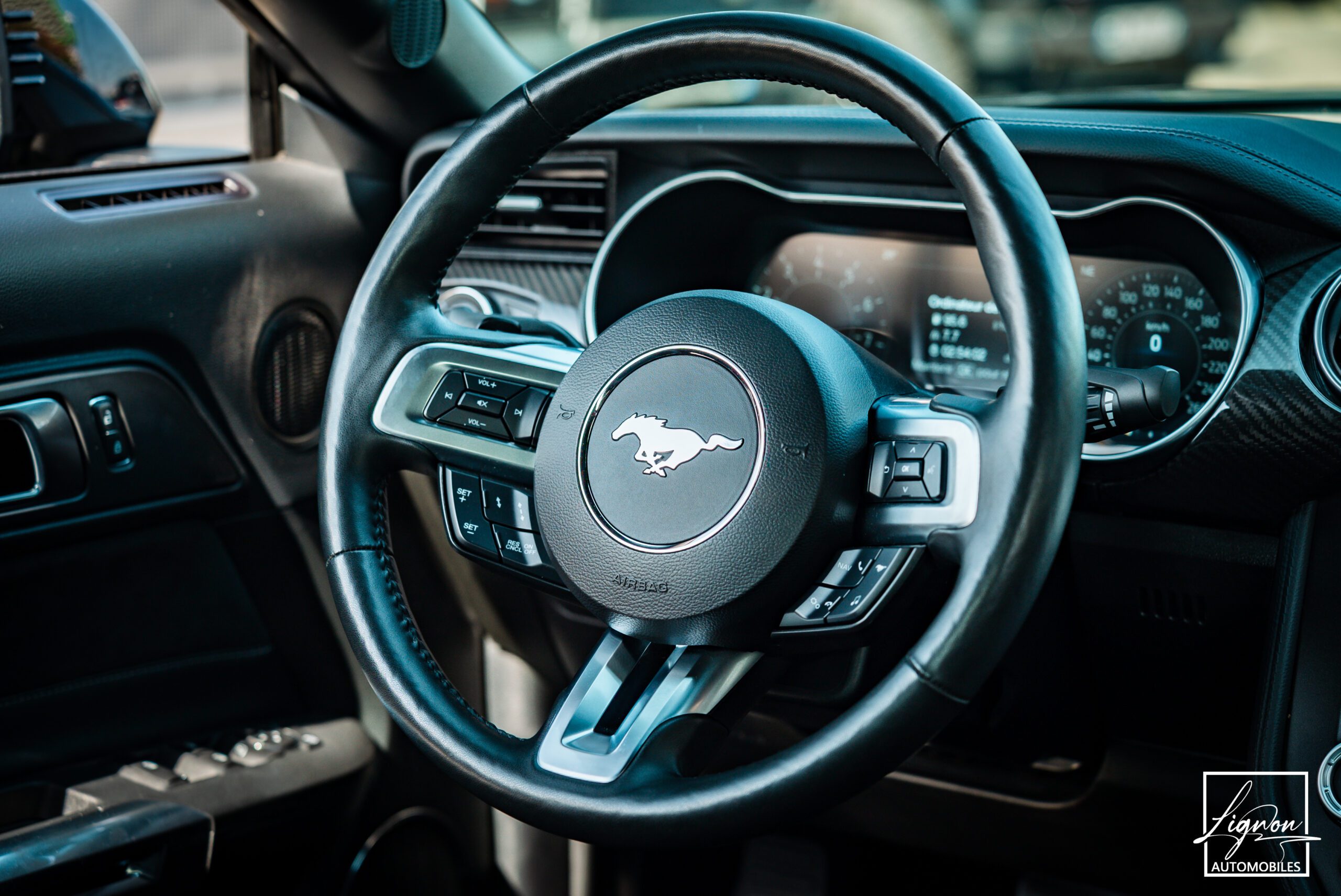 Photo Ford Mustang Cabriolet GT 5.0l Edition Spéciale 55th Anniversary B&O + Magneride