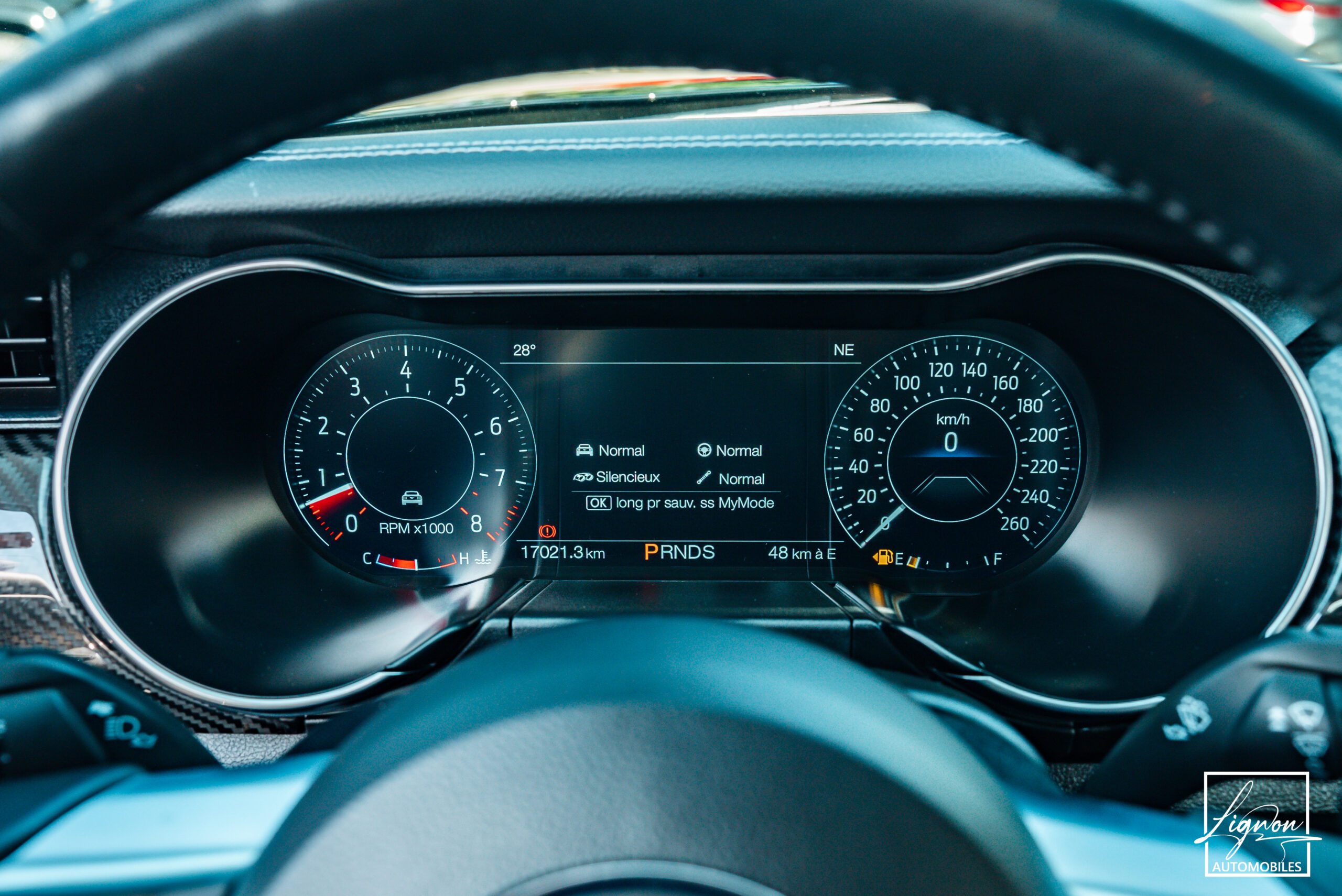 Photo Ford Mustang Cabriolet GT 5.0l Edition Spéciale 55th Anniversary B&O + Magneride