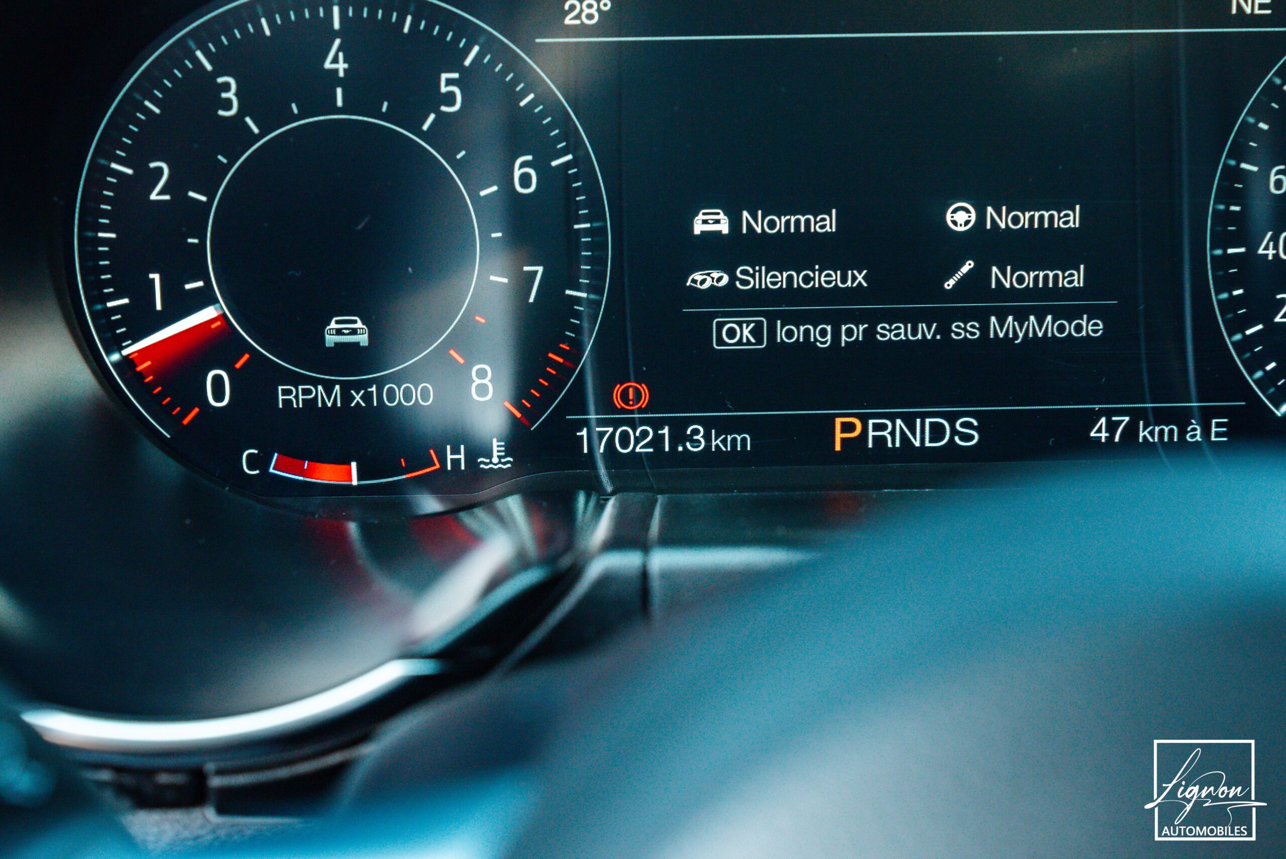 Photo Ford Mustang Cabriolet GT 5.0l Edition Spéciale 55th Anniversary B&O + Magneride