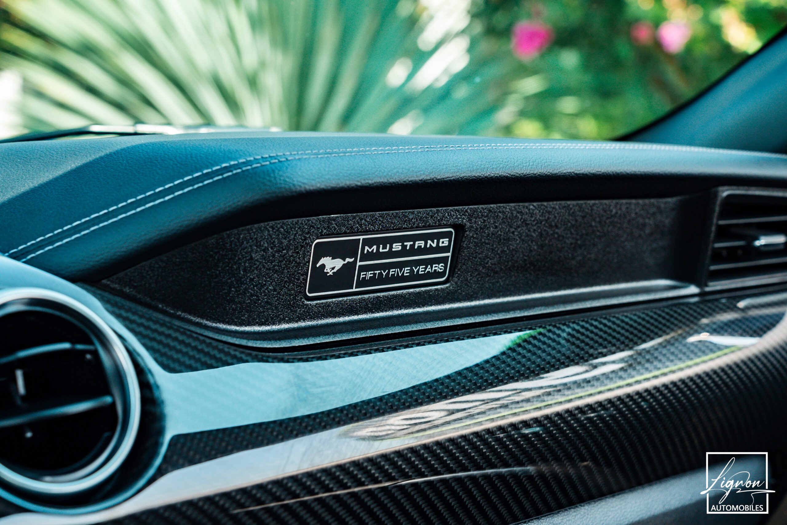 Photo Ford Mustang Cabriolet GT 5.0l Edition Spéciale 55th Anniversary B&O + Magneride
