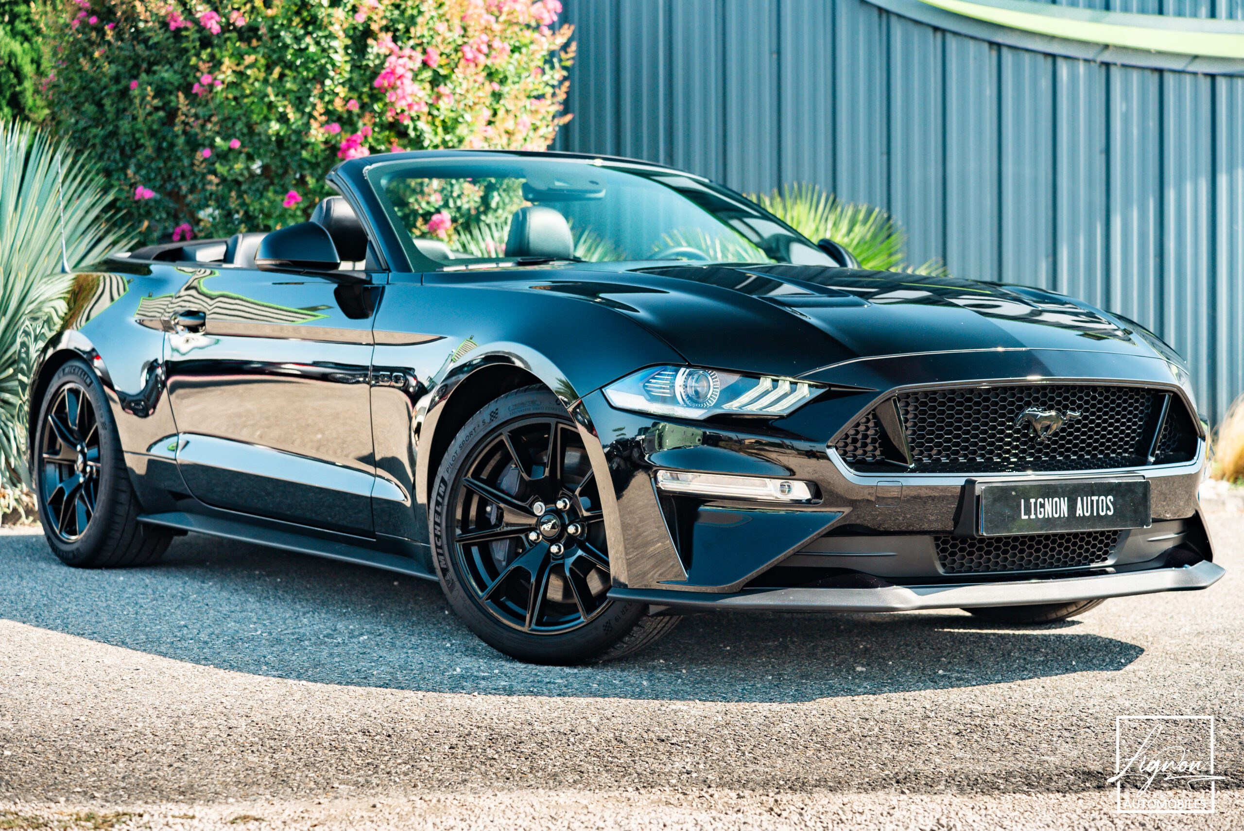 Ford Mustang Cabriolet GT 5.0l Edition Spéciale 55th Anniversary B&O + Magneride