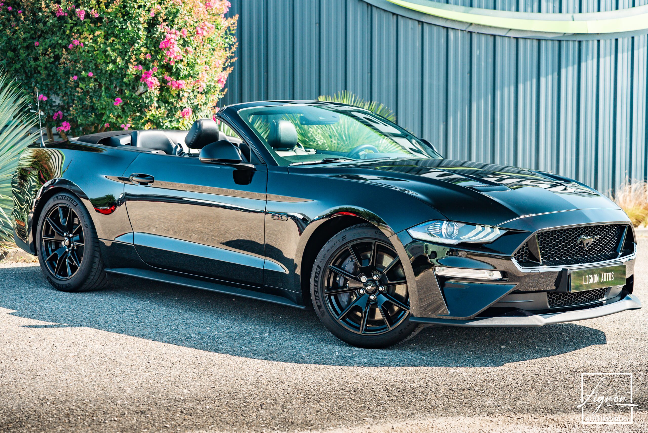 Photo Ford Mustang Cabriolet GT 5.0l Edition Spéciale 55th Anniversary B&O + Magneride