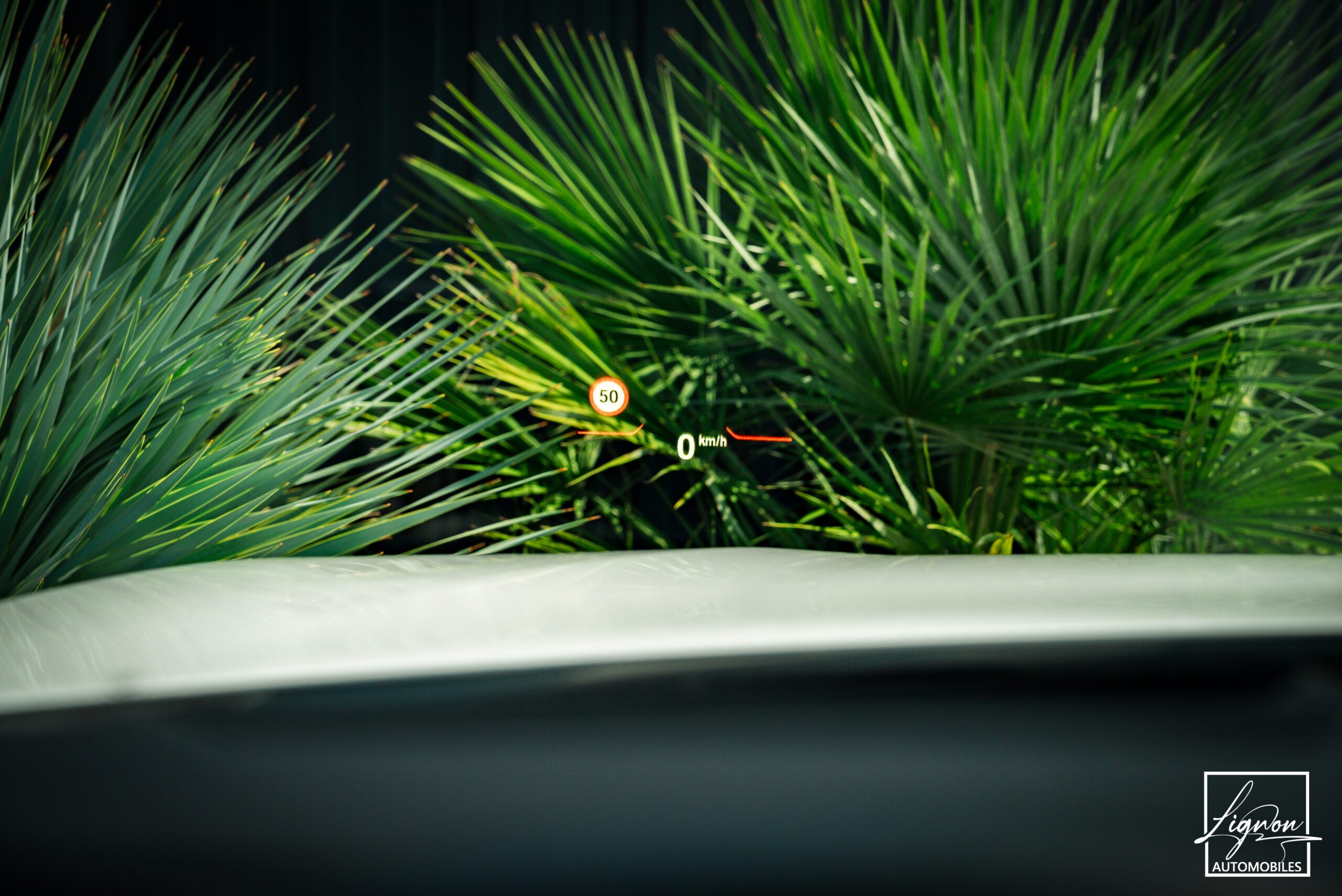 Photo BMW Z4 Roadster III (G29) M40iA 340ch M Performance
