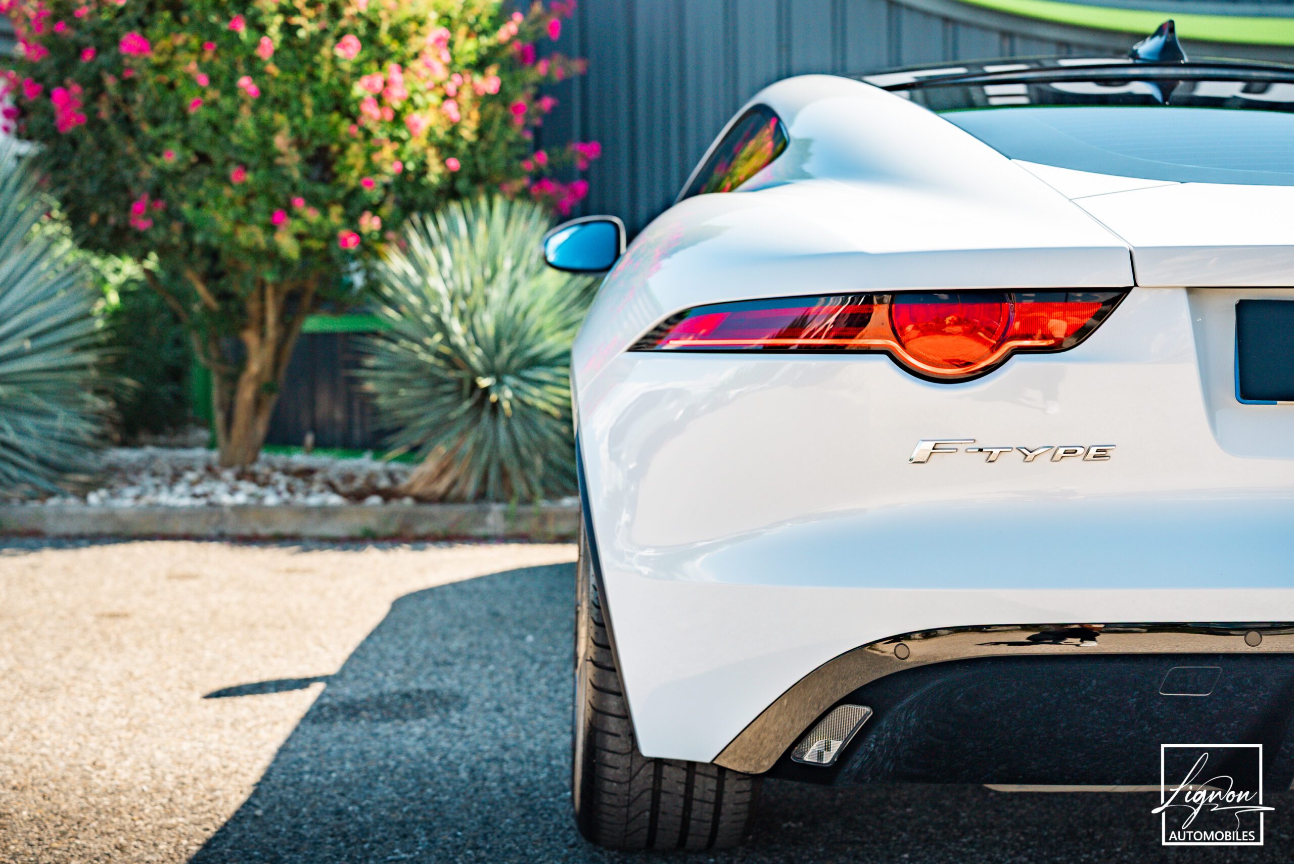 Photo Jaguar F-type Coupé 3.0 v6 P 340 R-Dynamic BVA8 - Toit Panoramique