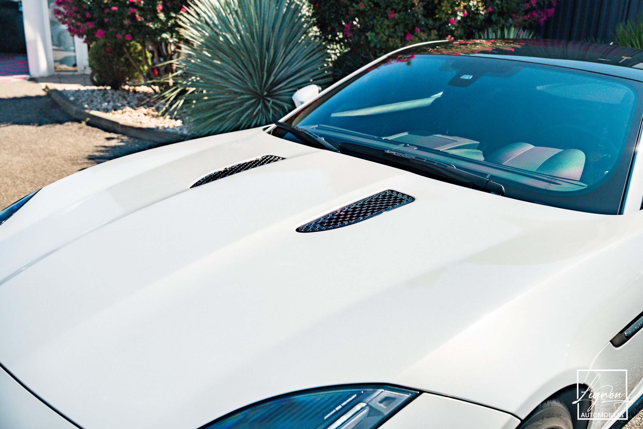 Photo Jaguar F-type Coupé 3.0 v6 P 340 R-Dynamic BVA8 - Toit Panoramique
