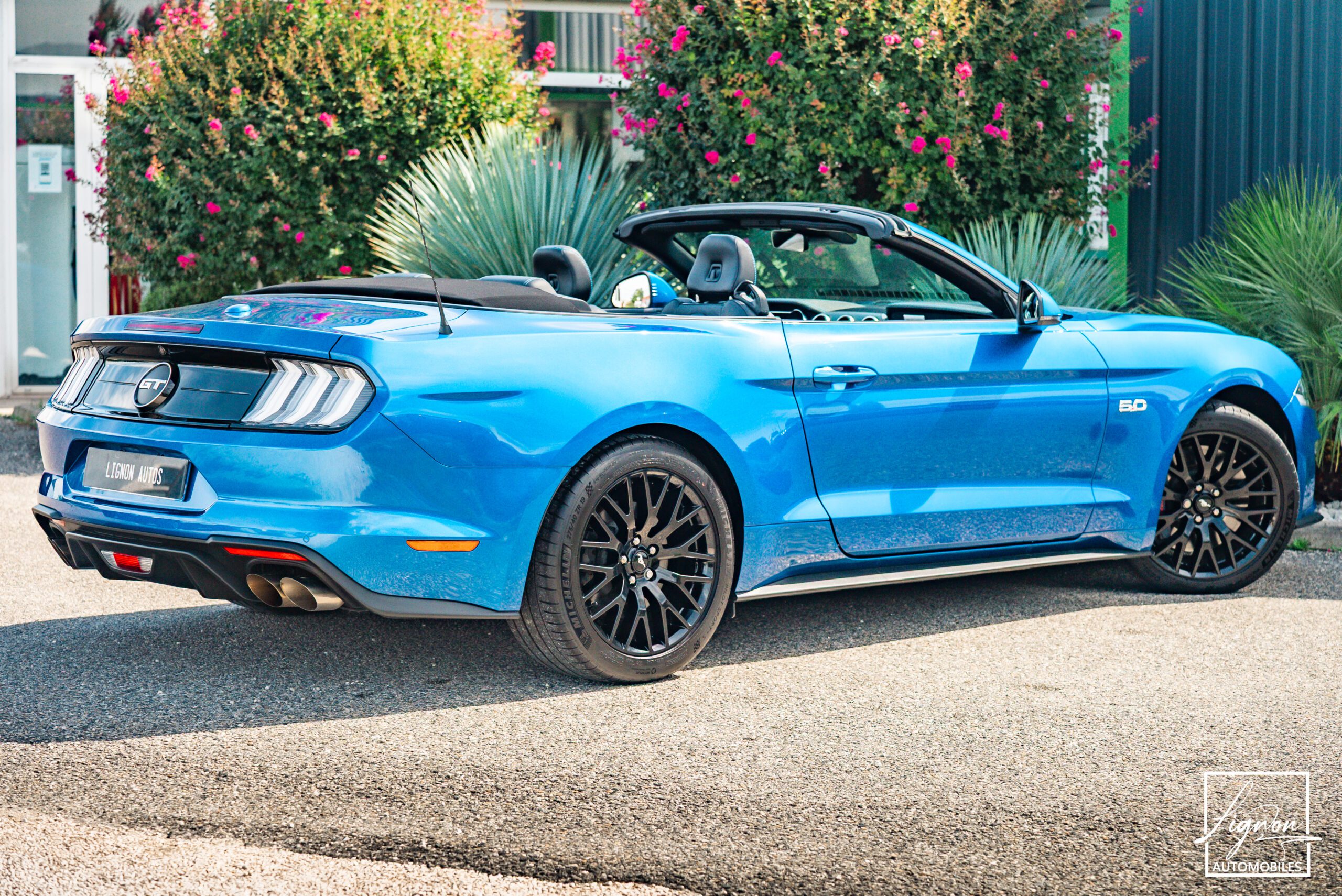 Photo Ford Mustang GT Cabriolet 5.0L V8 450 CH BVA10 Lightning Blue