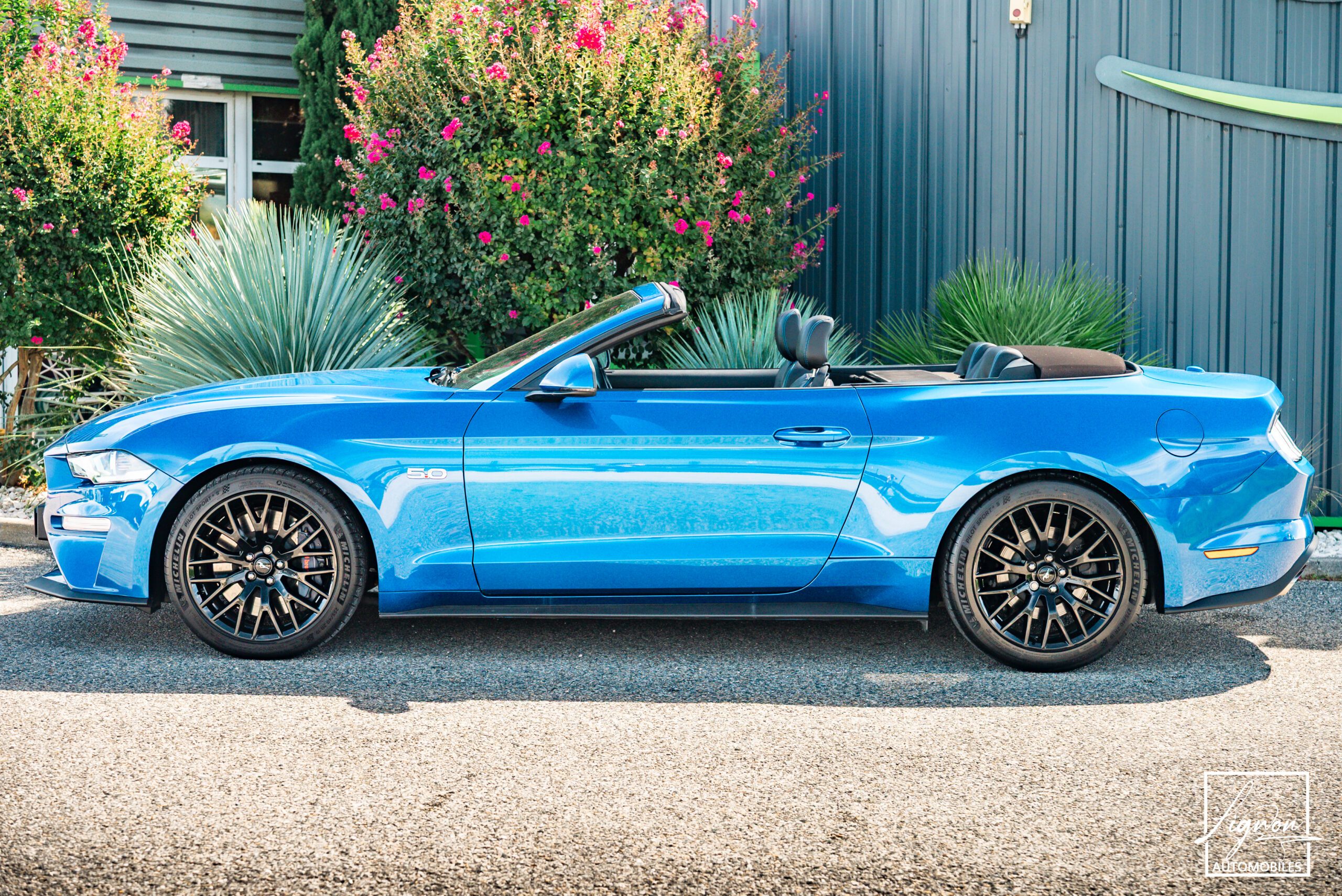 Photo Ford Mustang GT Cabriolet 5.0L V8 450 CH BVA10 Lightning Blue