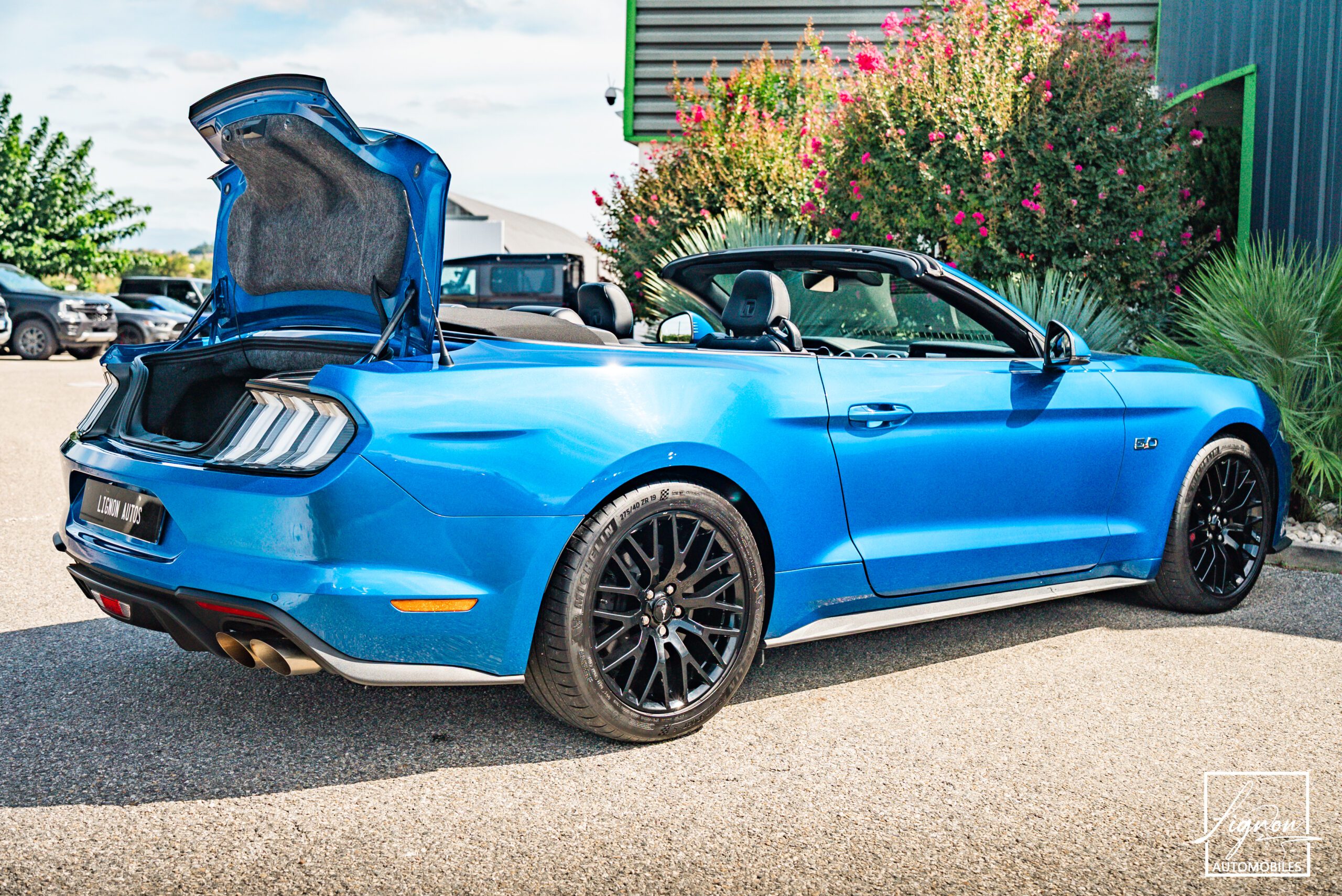 Photo Ford Mustang GT Cabriolet 5.0L V8 450 CH BVA10 Lightning Blue