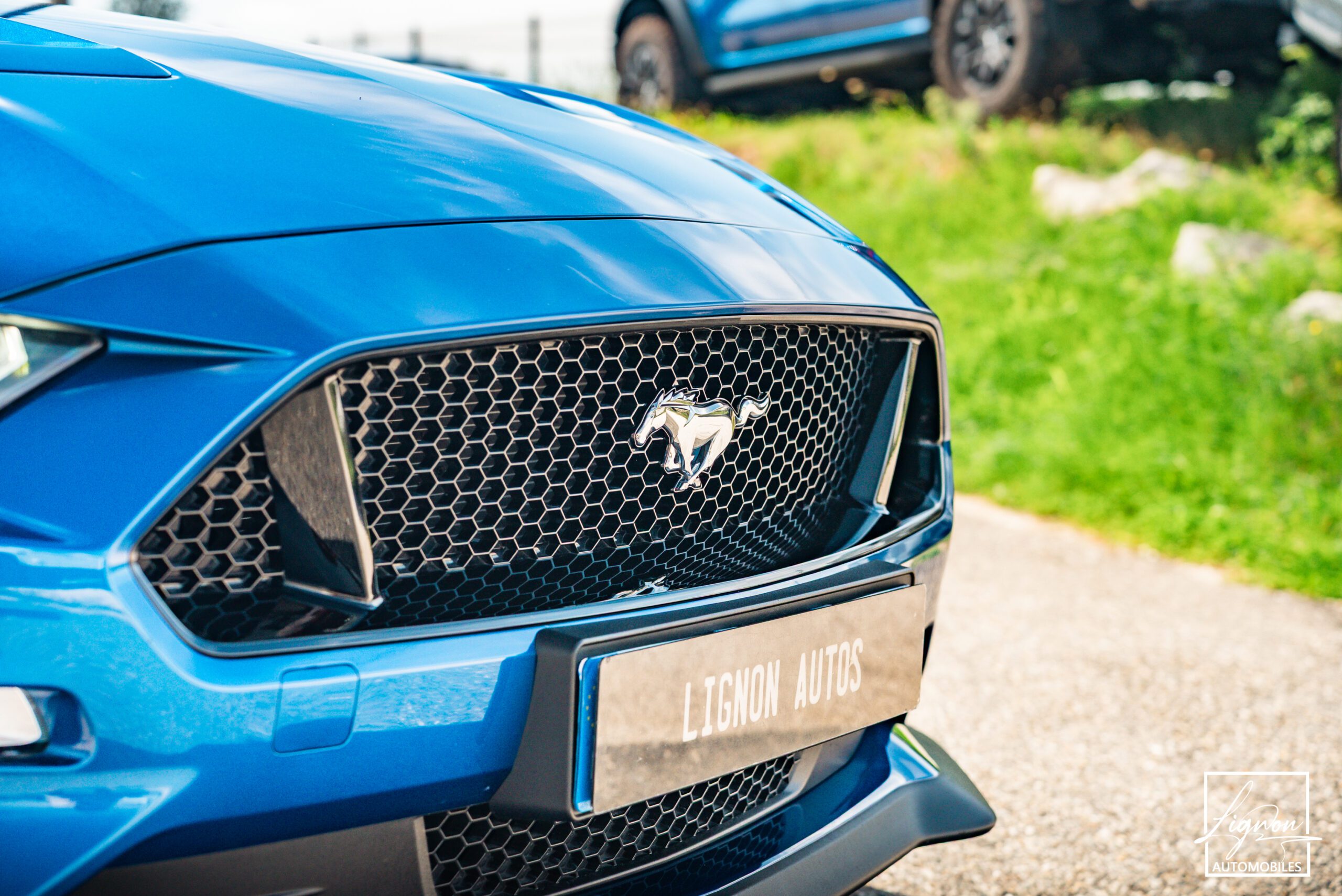 Photo Ford Mustang GT Cabriolet 5.0L V8 450 CH BVA10 Lightning Blue