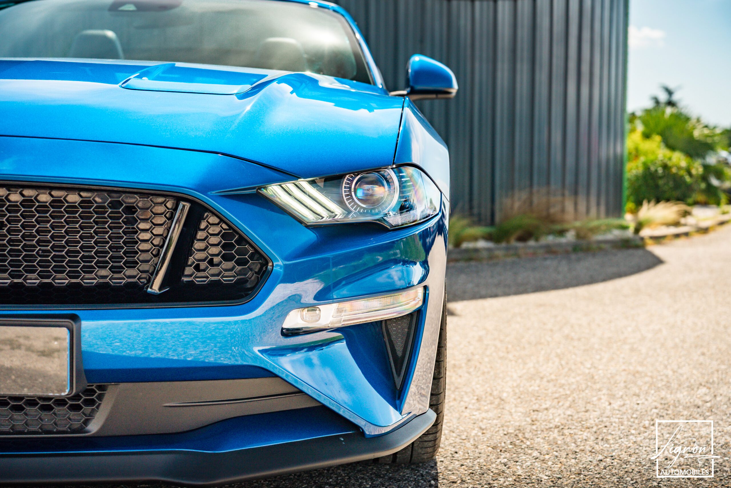 Photo Ford Mustang GT Cabriolet 5.0L V8 450 CH BVA10 Lightning Blue