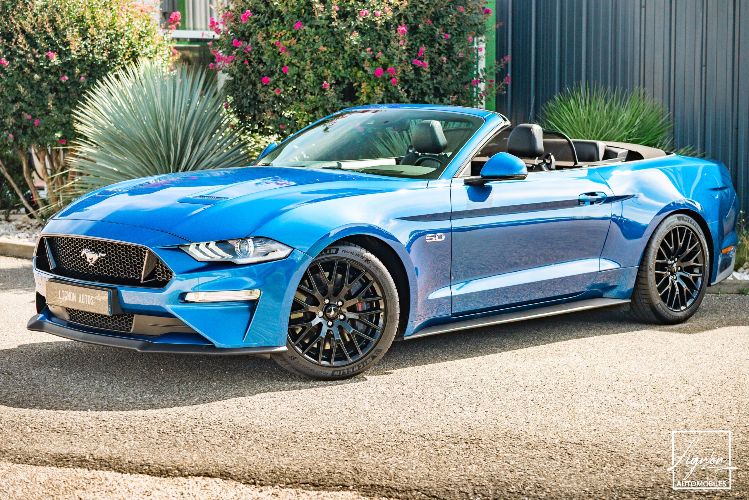 Ford Mustang GT Cabriolet 5.0L V8 450 CH BVA10 Lightning Blue