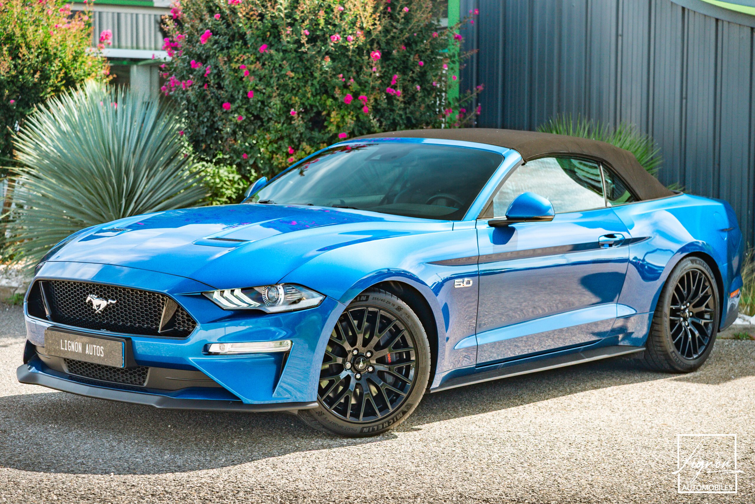 Photo Ford Mustang GT Cabriolet 5.0L V8 450 CH BVA10 Lightning Blue