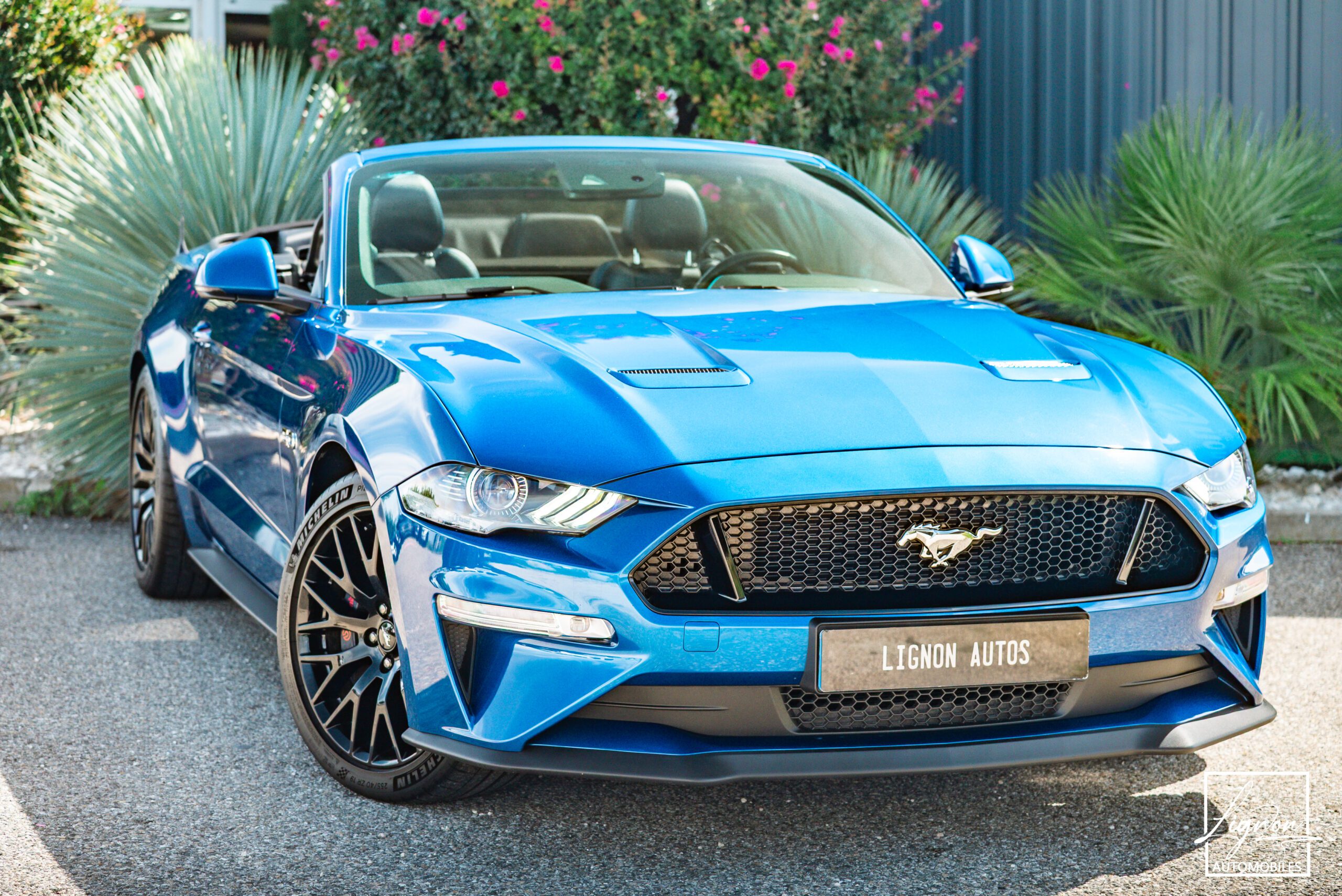Photo Ford Mustang GT Cabriolet 5.0L V8 450 CH BVA10 Lightning Blue