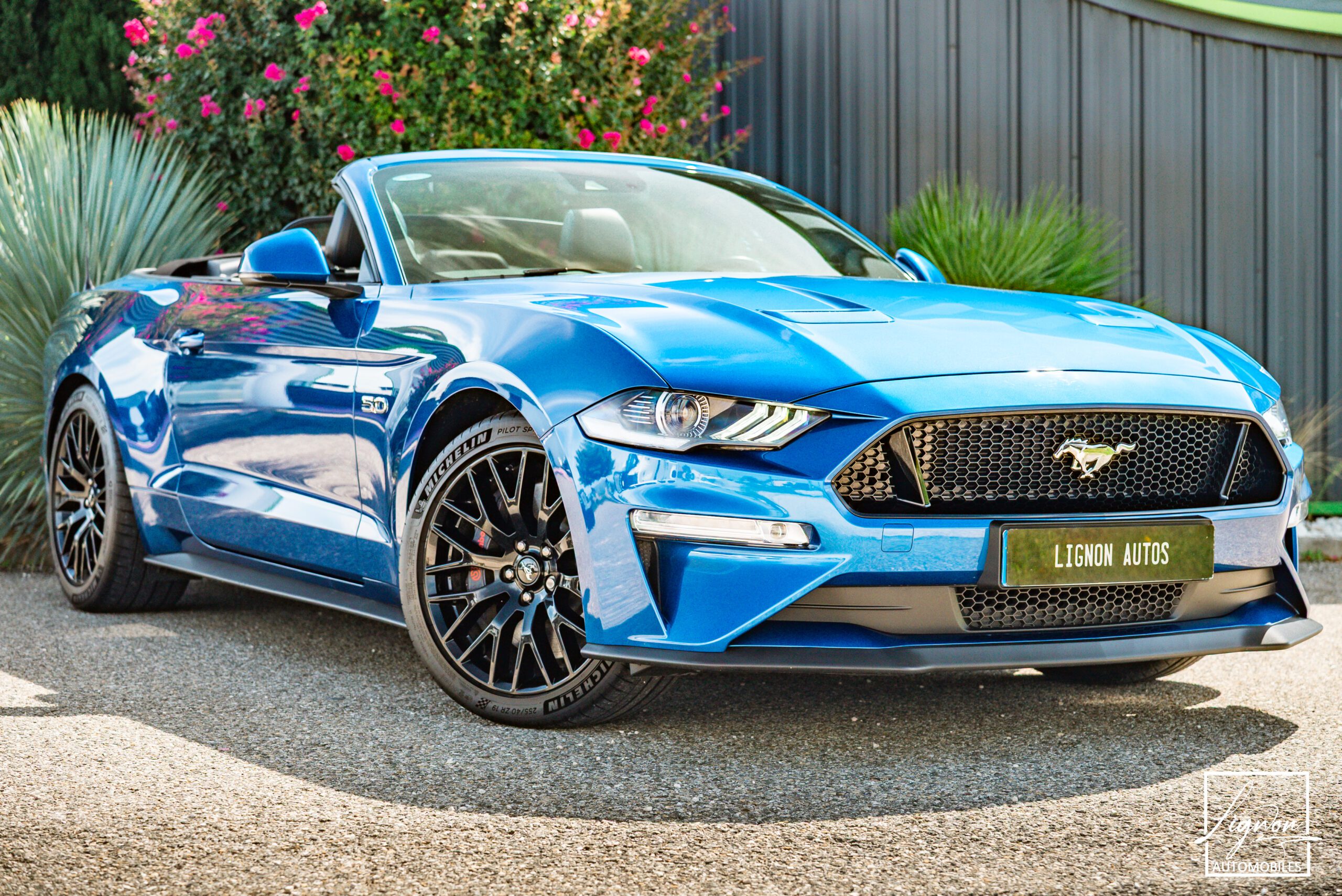 Photo Ford Mustang GT Cabriolet 5.0L V8 450 CH BVA10 Lightning Blue