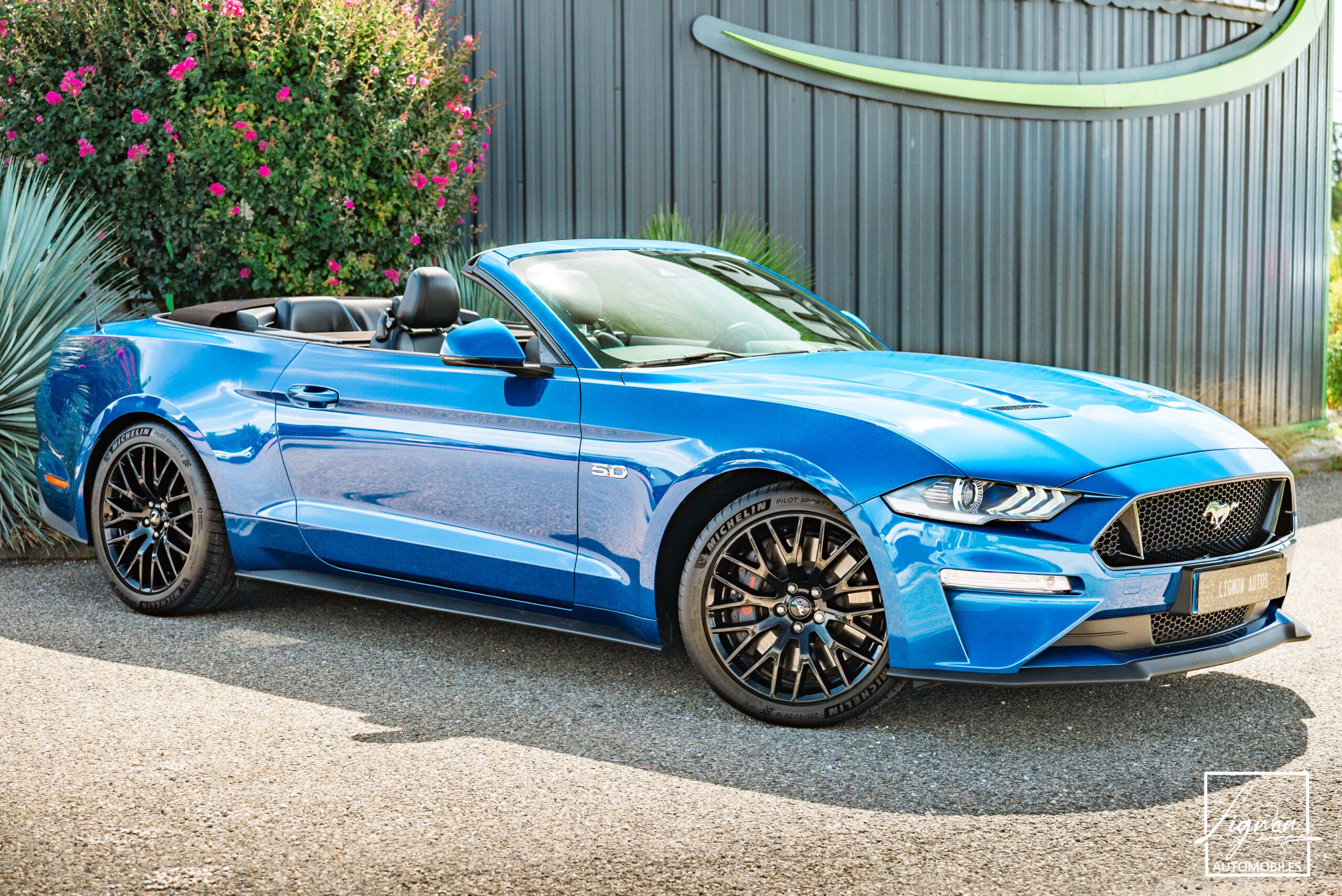 Photo Ford Mustang GT Cabriolet 5.0L V8 450 CH BVA10 Lightning Blue