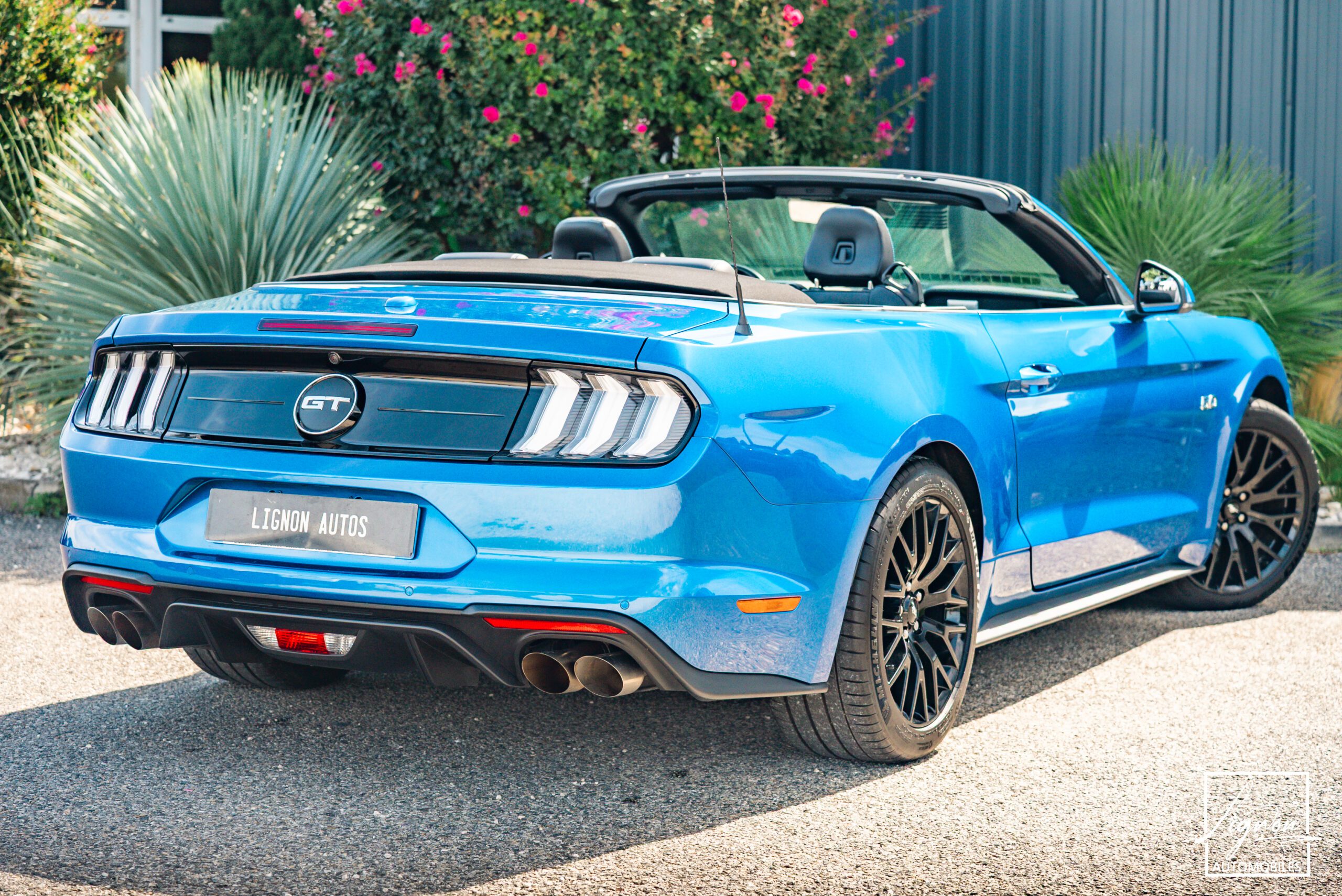 Photo Ford Mustang GT Cabriolet 5.0L V8 450 CH BVA10 Lightning Blue