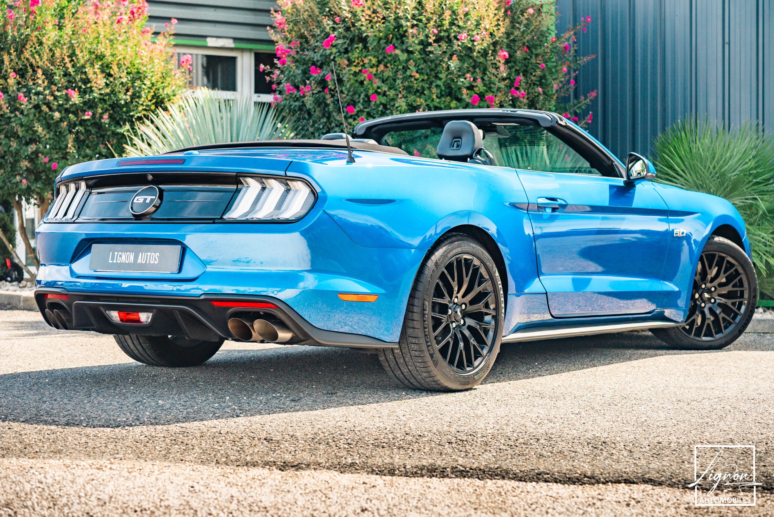 Photo Ford Mustang GT Cabriolet 5.0L V8 450 CH BVA10 Lightning Blue