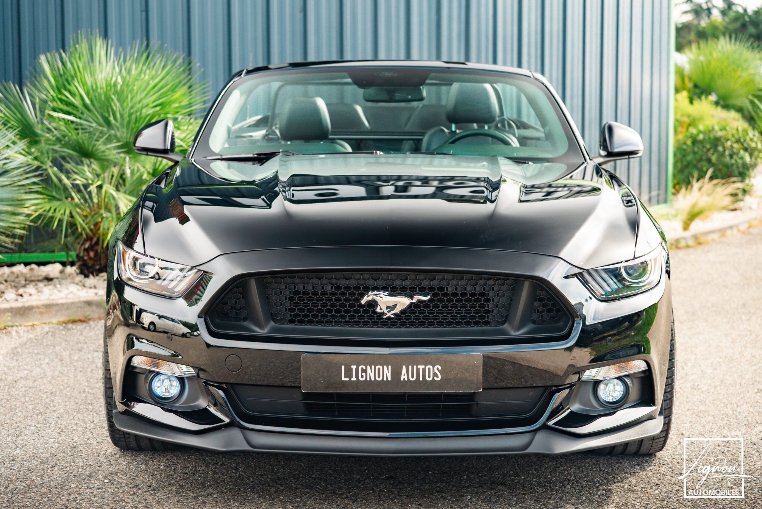 Photo Ford Mustang GT Cabriolet 5.0L V8 421 CH BVA6 Absolute Black - Echappement Sport