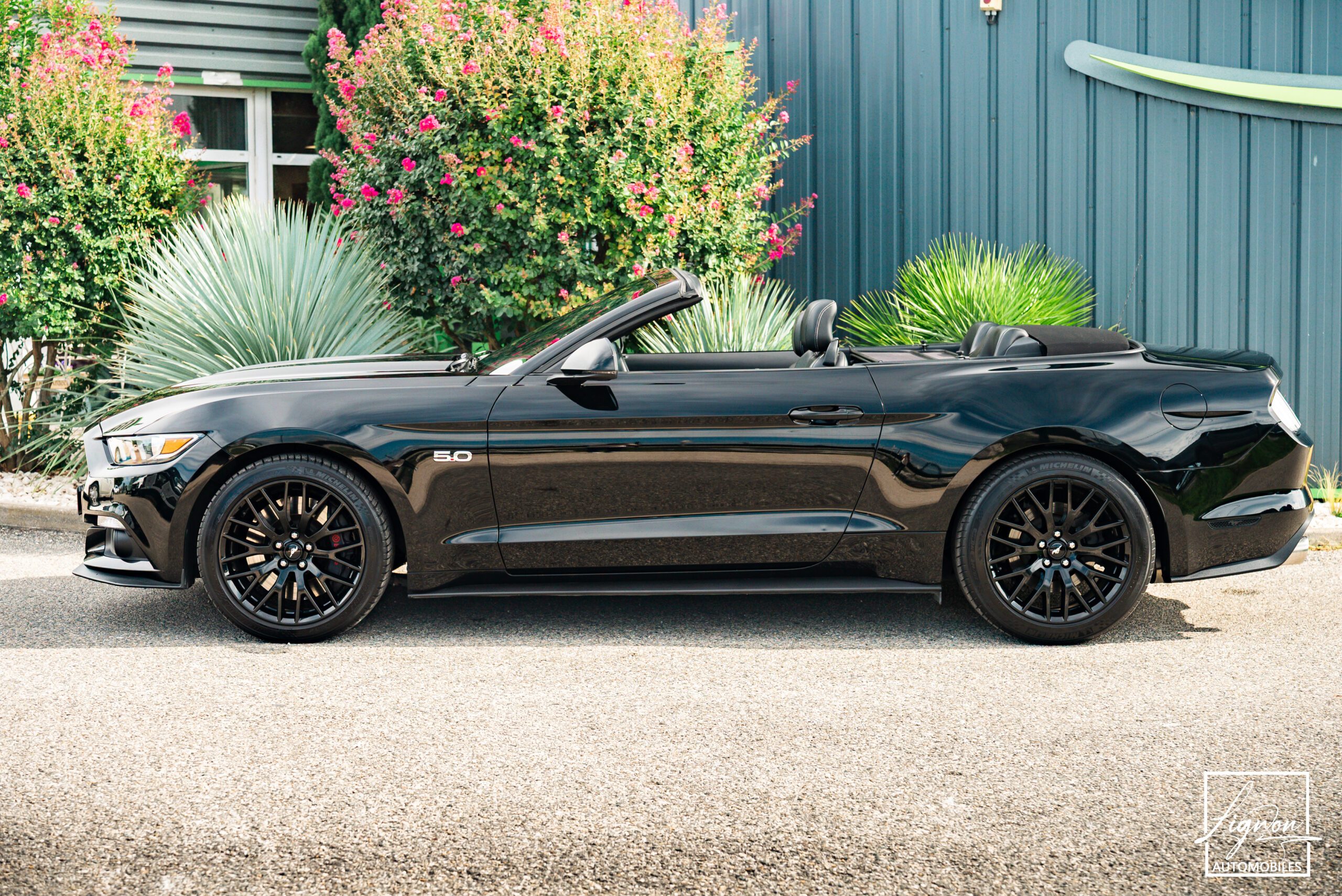 Photo Ford Mustang GT Cabriolet 5.0L V8 421 CH BVA6 Absolute Black - Echappement Sport