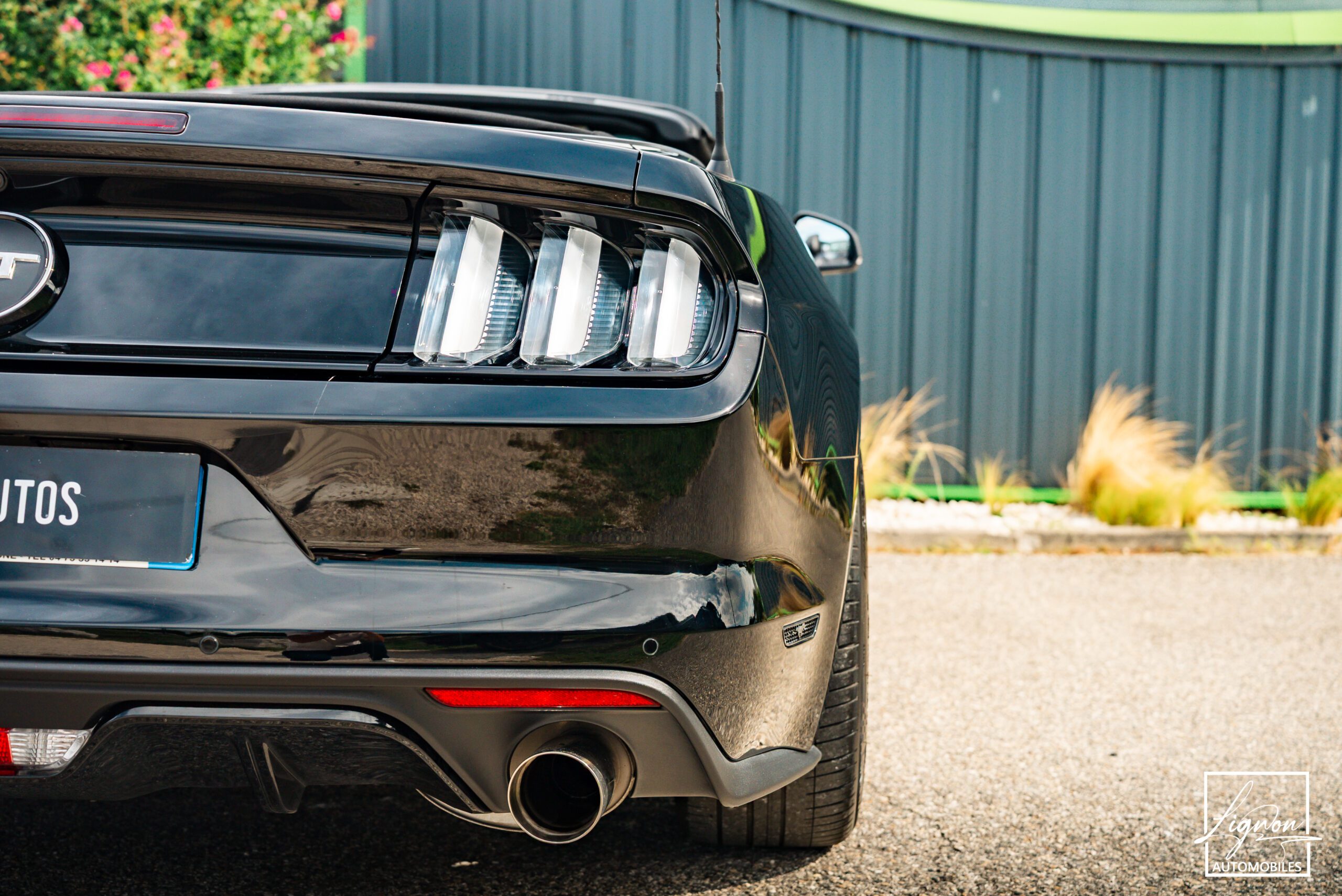 Photo Ford Mustang GT Cabriolet 5.0L V8 421 CH BVA6 Absolute Black - Echappement Sport