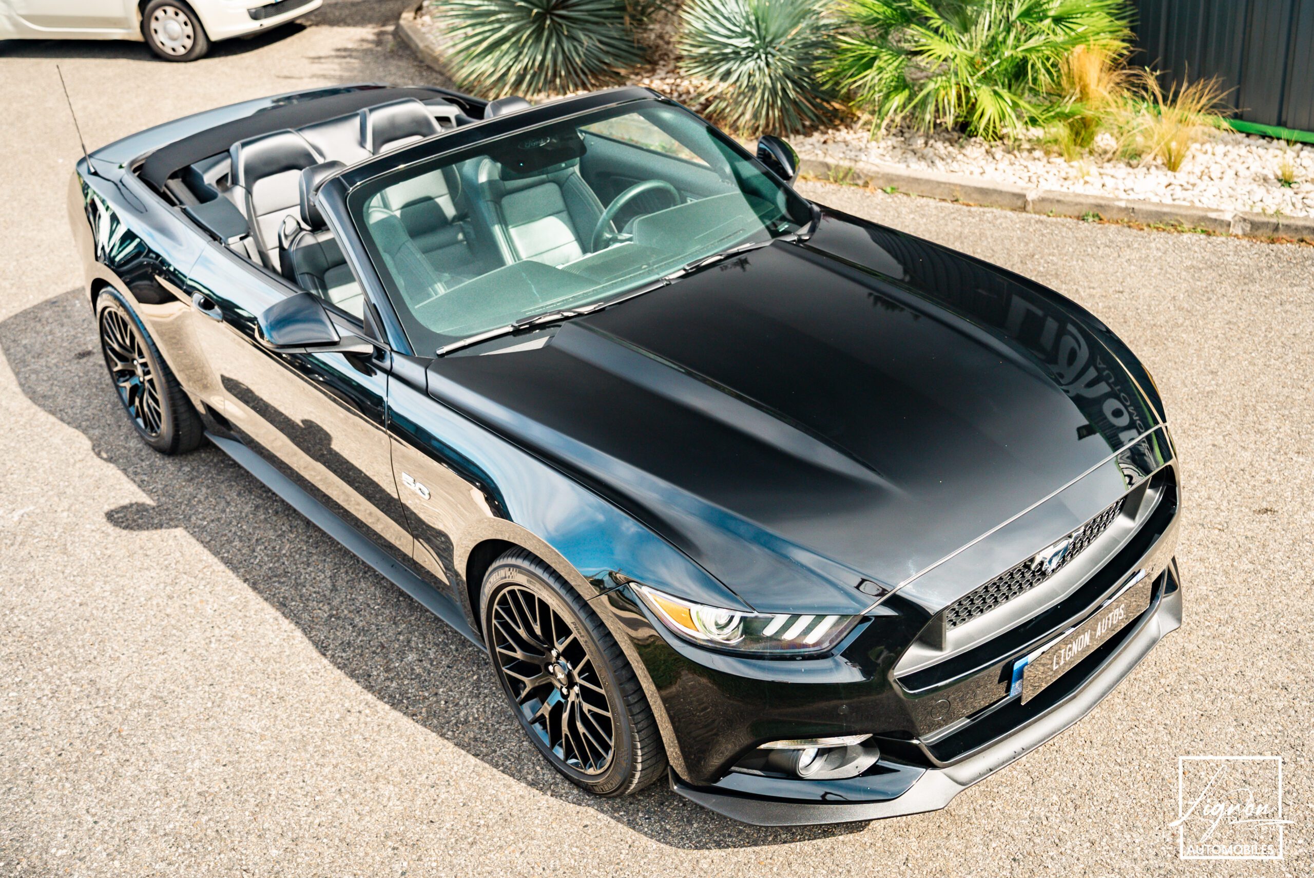 Photo Ford Mustang GT Cabriolet 5.0L V8 421 CH BVA6 Absolute Black - Echappement Sport