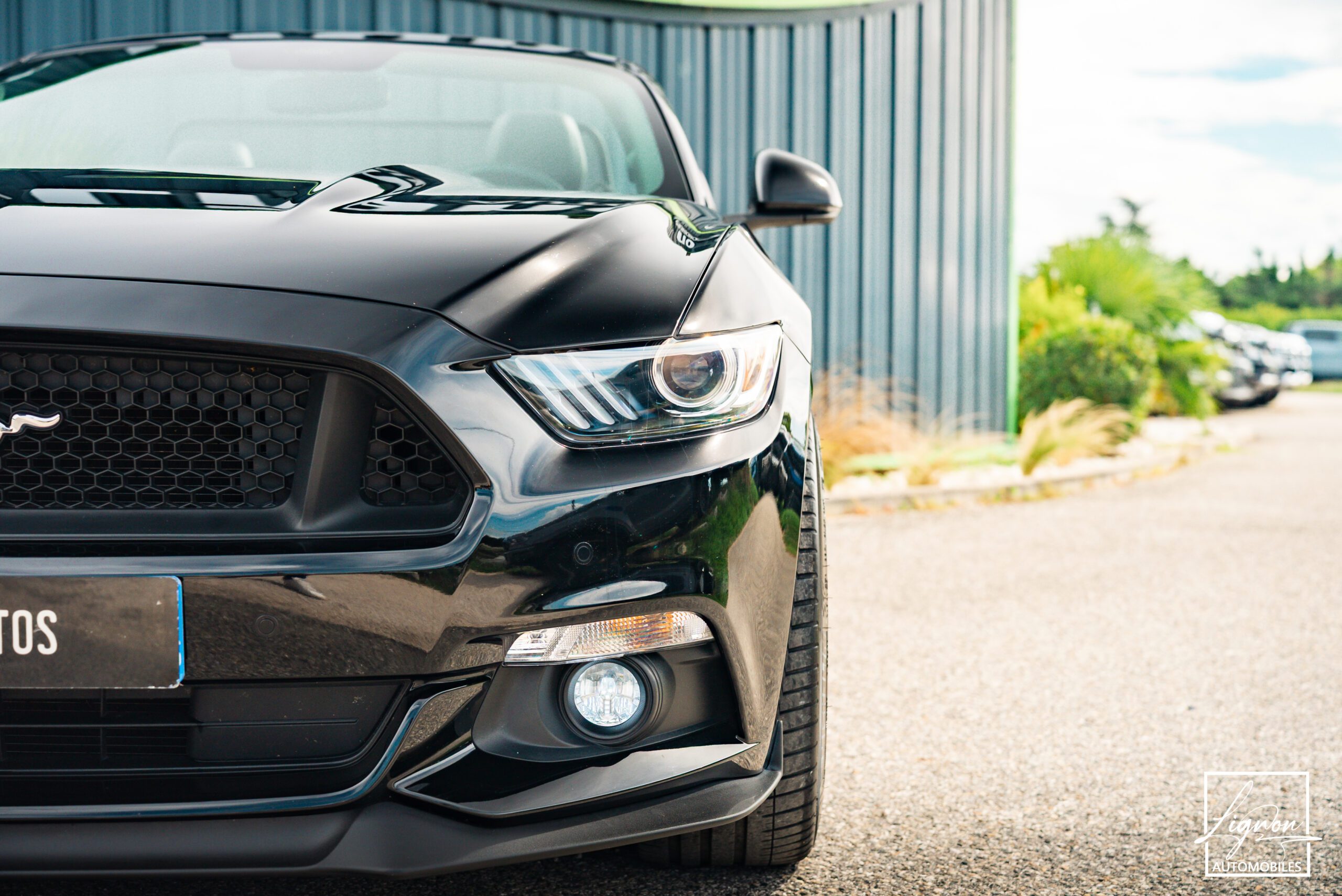 Photo Ford Mustang GT Cabriolet 5.0L V8 421 CH BVA6 Absolute Black - Echappement Sport