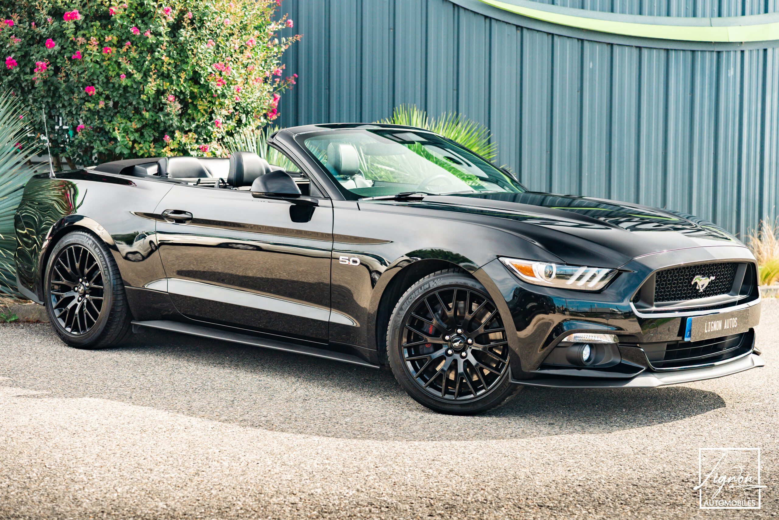 Photo Ford Mustang GT Cabriolet 5.0L V8 421 CH BVA6 Absolute Black - Echappement Sport