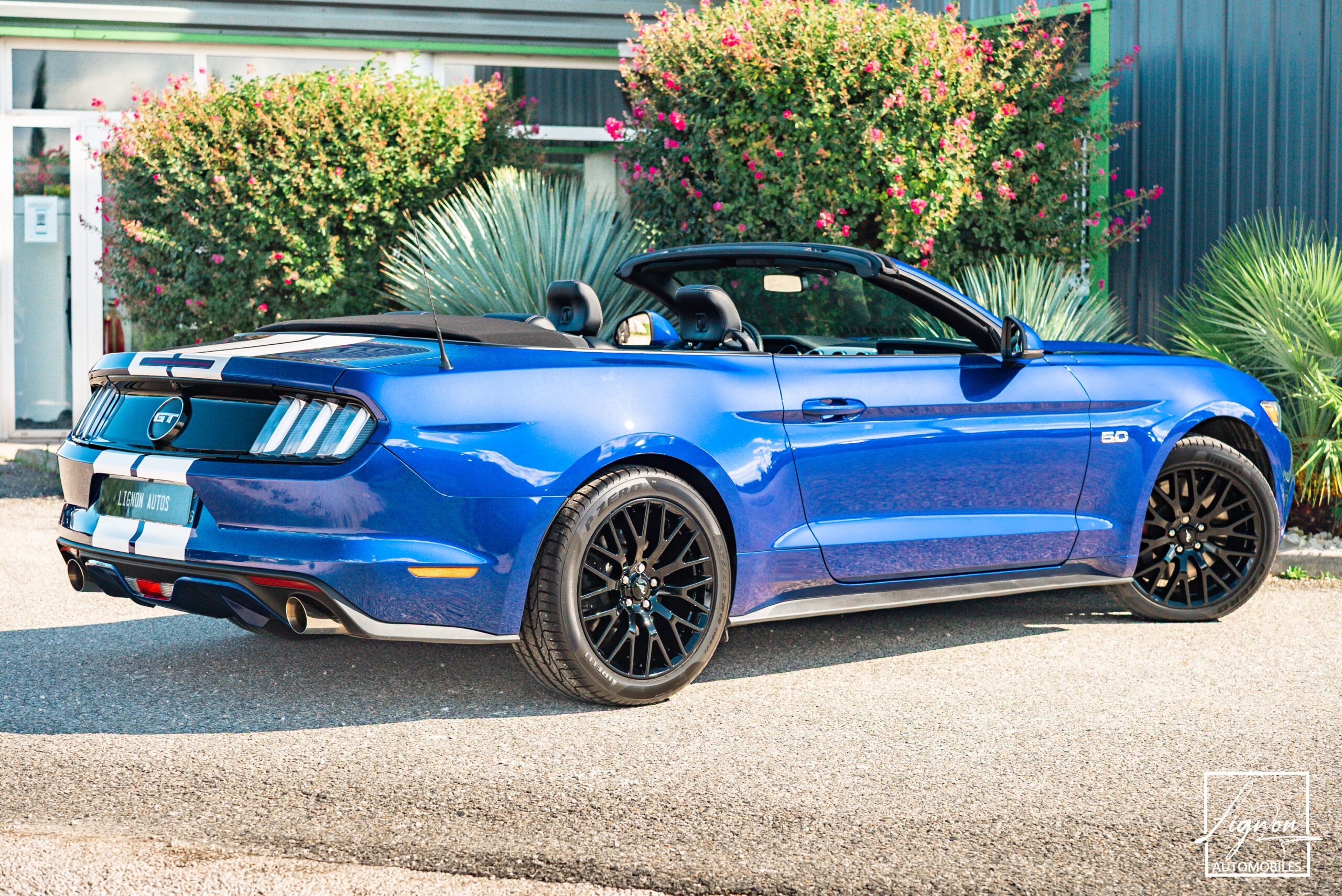 Photo Ford Mustang GT Cabriolet 5.0L V8 421 CH BVA6 - Pack Premium