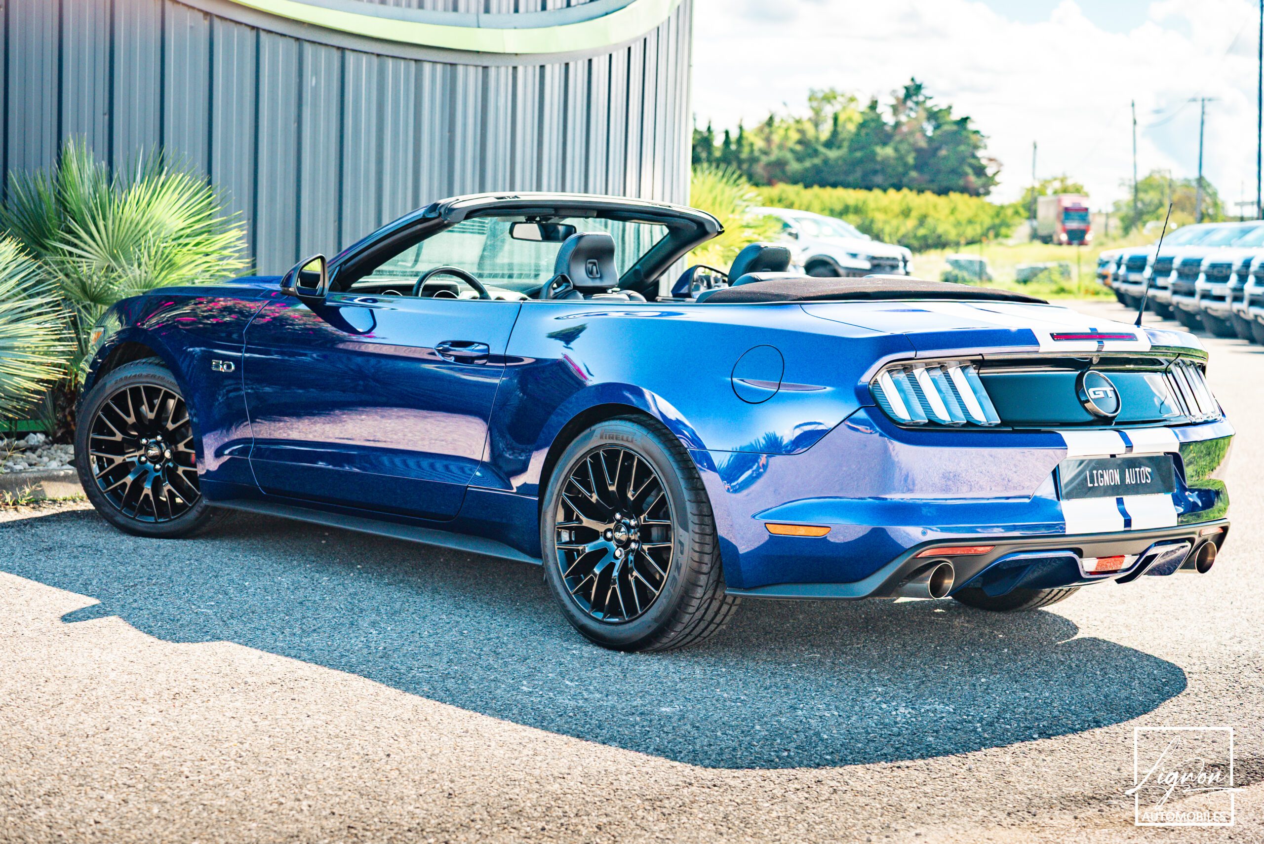 Photo Ford Mustang GT Cabriolet 5.0L V8 421 CH BVA6 - Pack Premium