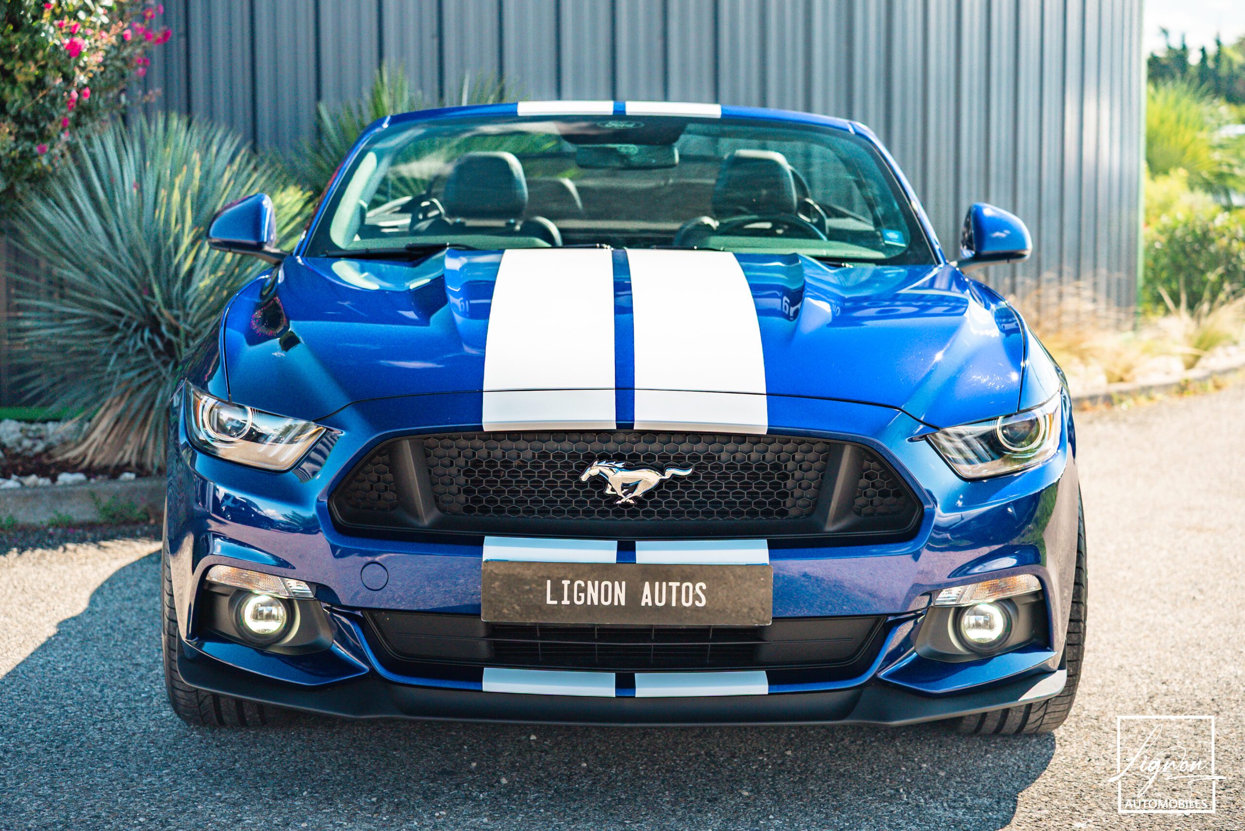 Photo Ford Mustang GT Cabriolet 5.0L V8 421 CH BVA6 - Pack Premium