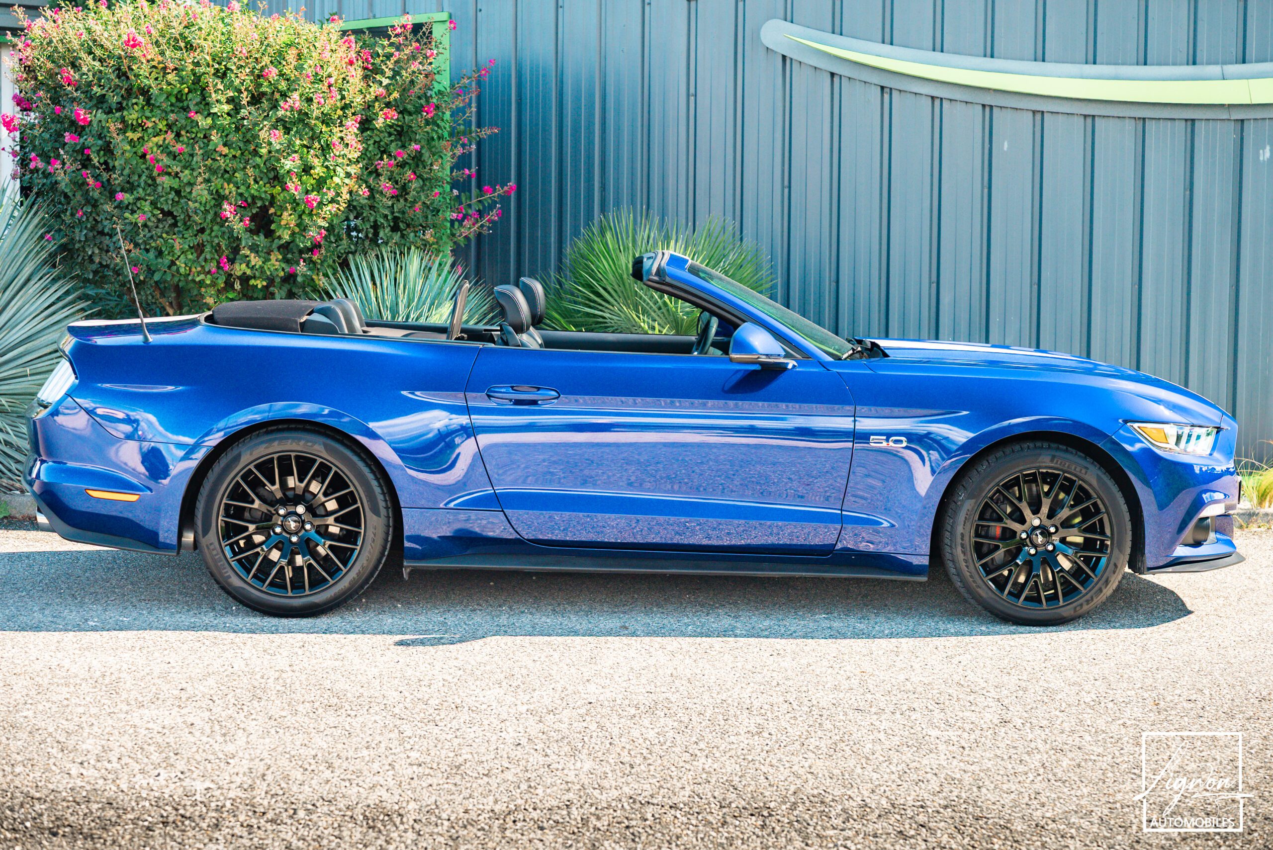 Photo Ford Mustang GT Cabriolet 5.0L V8 421 CH BVA6 - Pack Premium