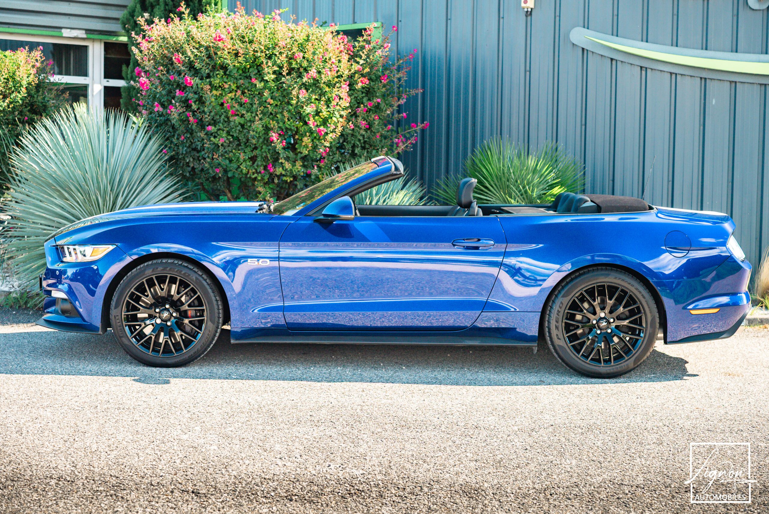 Photo Ford Mustang GT Cabriolet 5.0L V8 421 CH BVA6 - Pack Premium