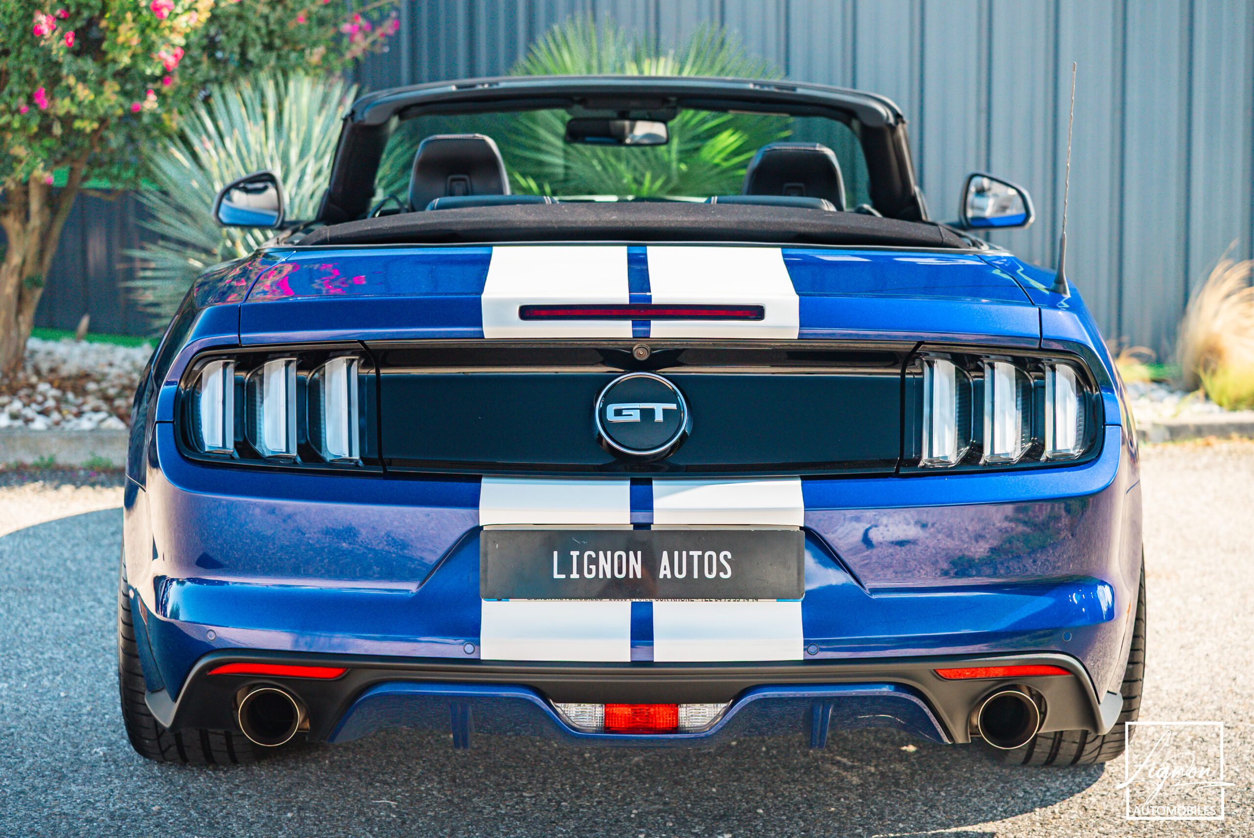 Photo Ford Mustang GT Cabriolet 5.0L V8 421 CH BVA6 - Pack Premium
