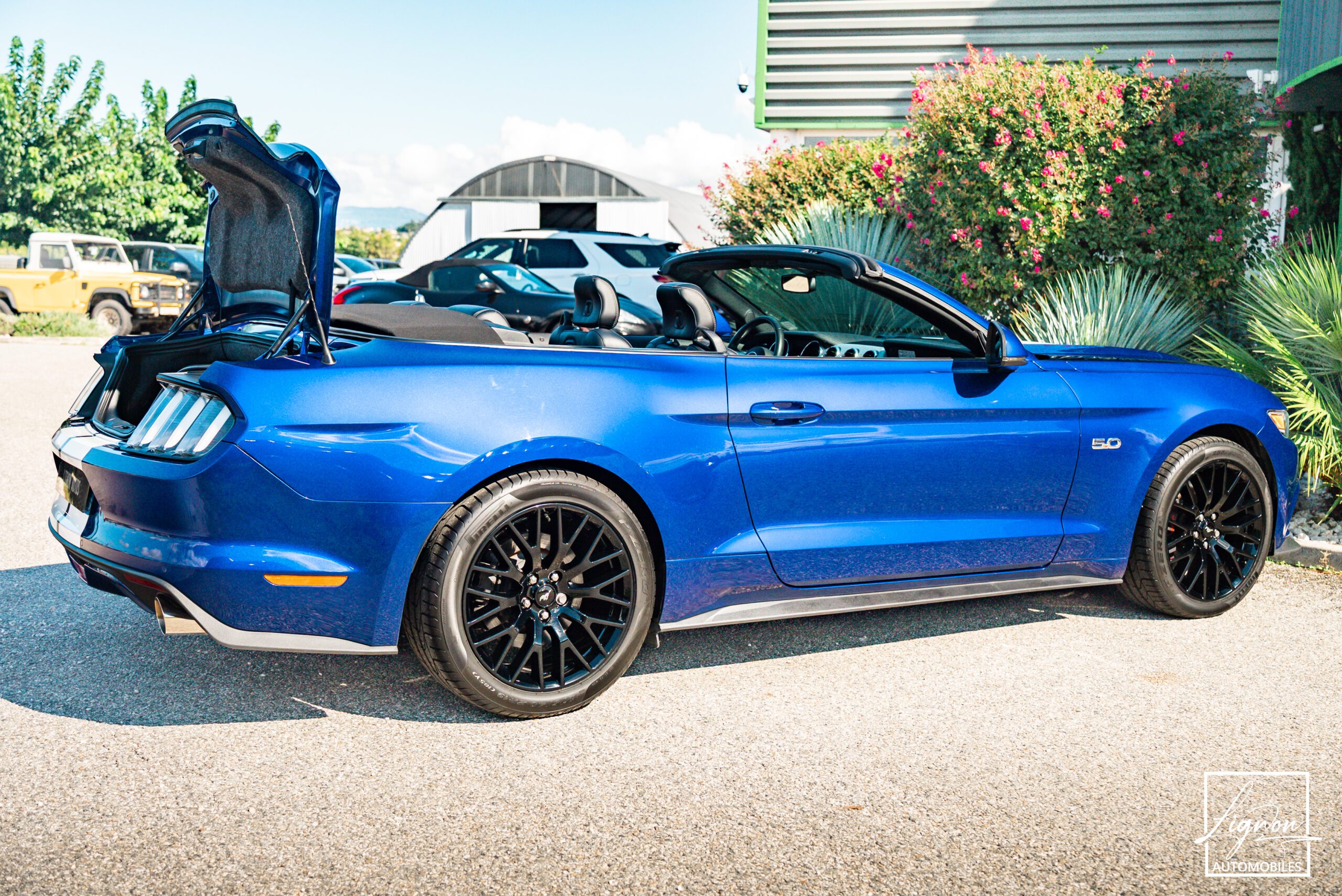 Photo Ford Mustang GT Cabriolet 5.0L V8 421 CH BVA6 - Pack Premium