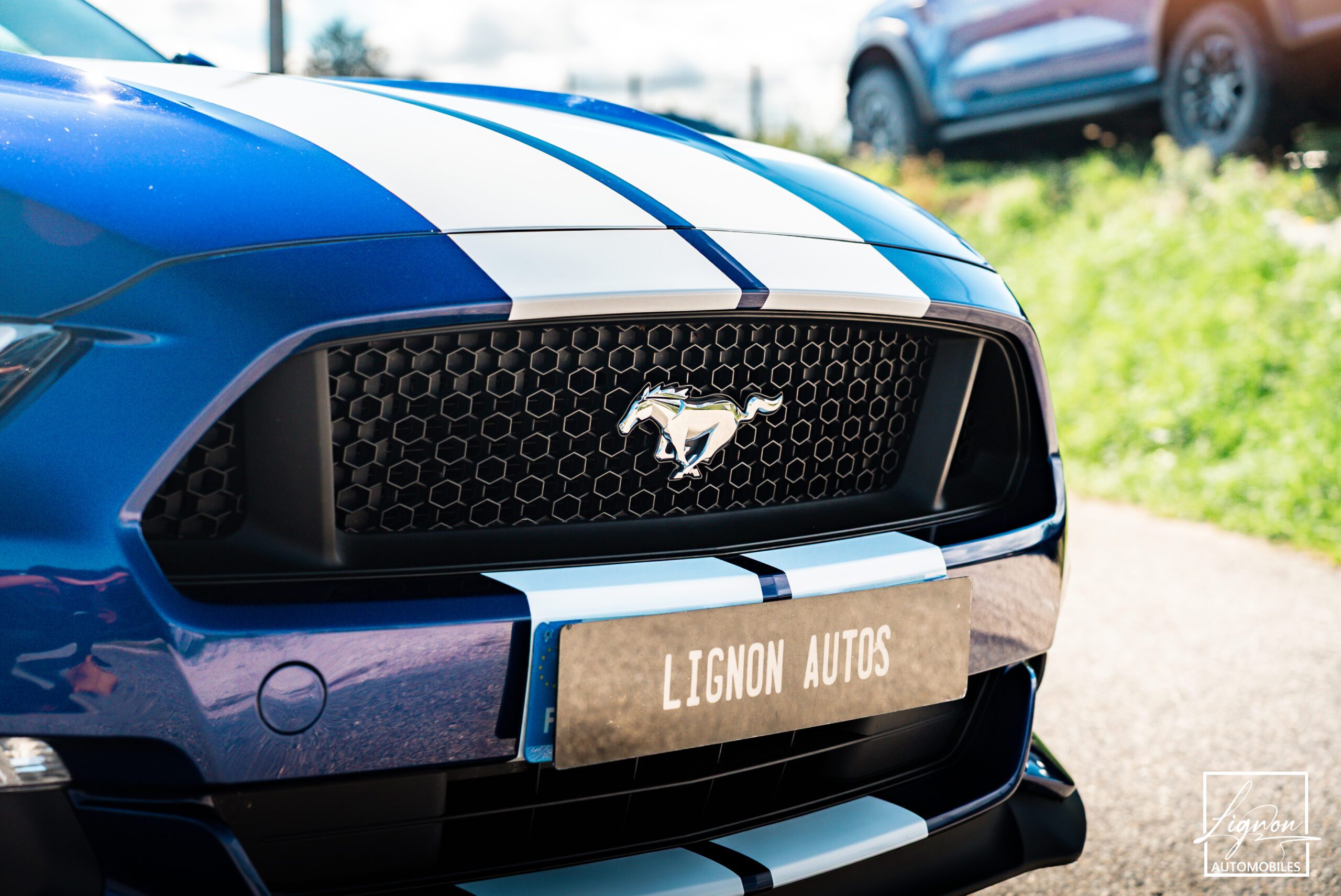 Photo Ford Mustang GT Cabriolet 5.0L V8 421 CH BVA6 - Pack Premium
