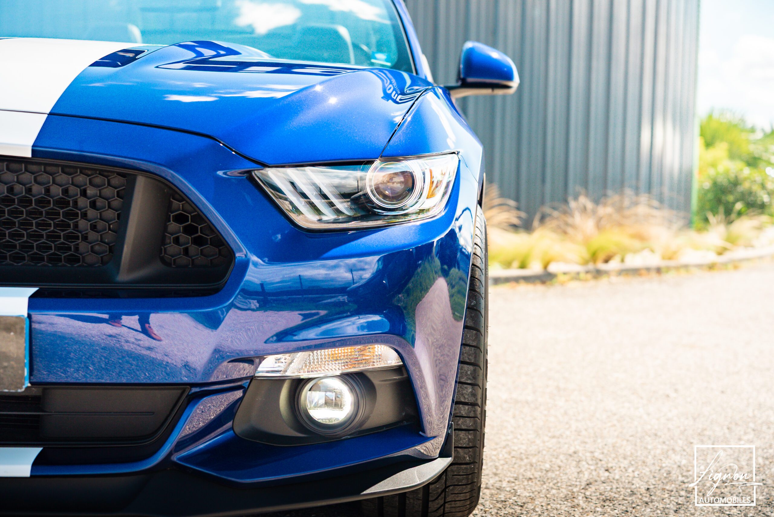 Photo Ford Mustang GT Cabriolet 5.0L V8 421 CH BVA6 - Pack Premium