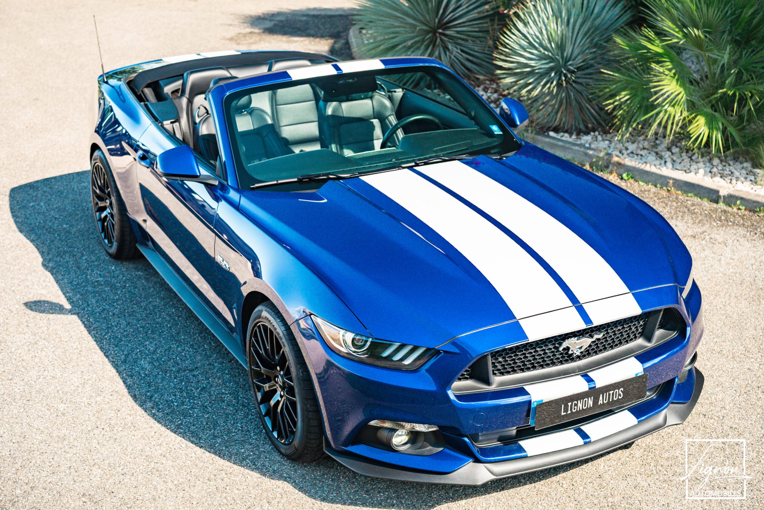 Photo Ford Mustang GT Cabriolet 5.0L V8 421 CH BVA6 - Pack Premium