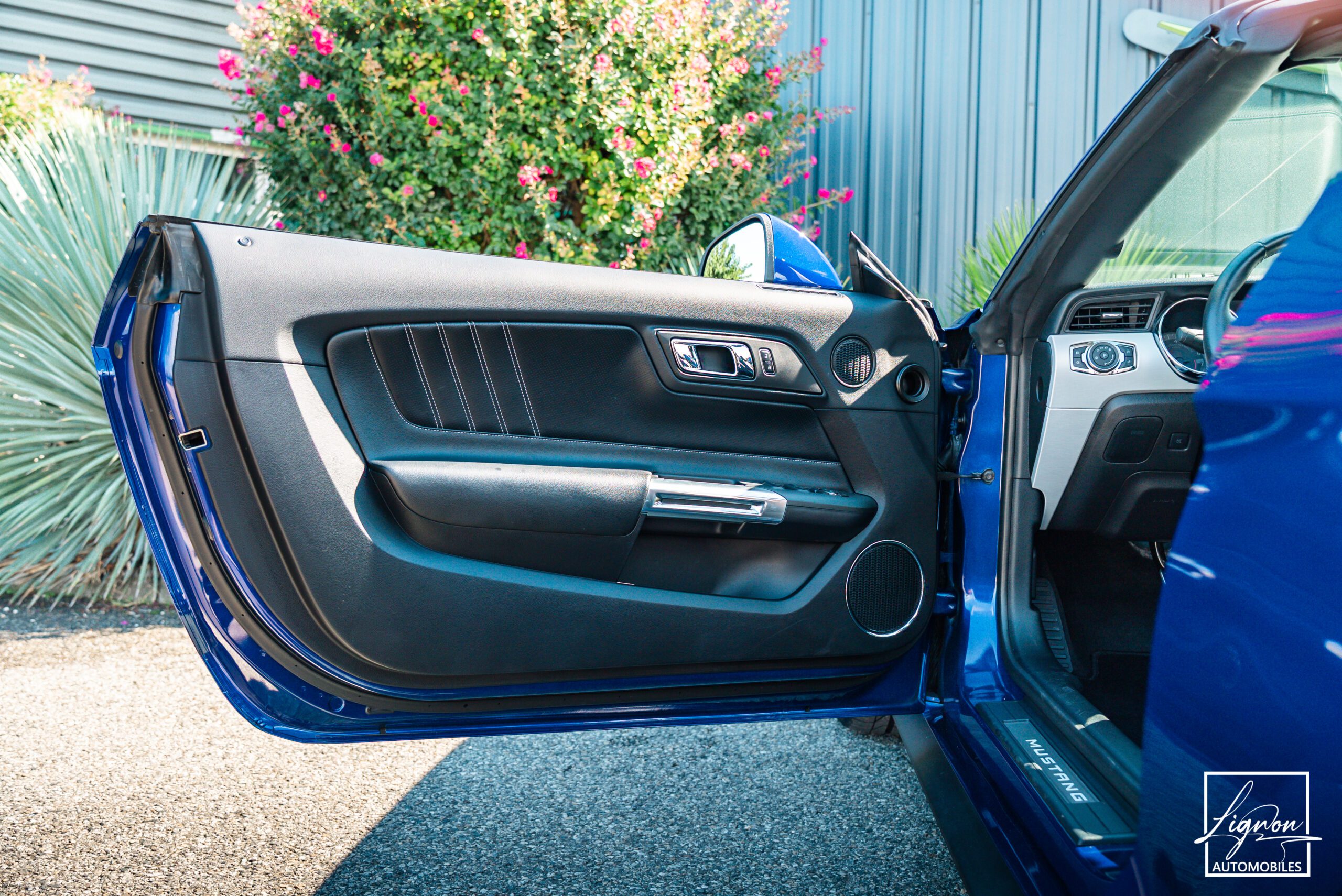 Photo Ford Mustang GT Cabriolet 5.0L V8 421 CH BVA6 - Pack Premium