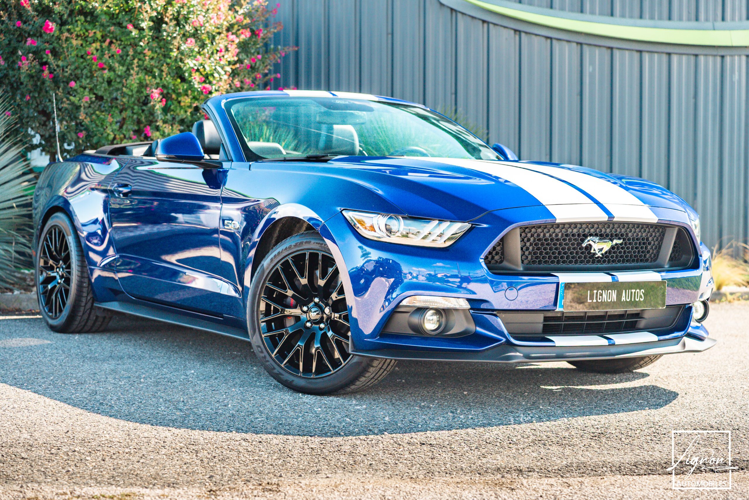 Ford Mustang GT Cabriolet 5.0L V8 421 CH BVA6 - Pack Premium