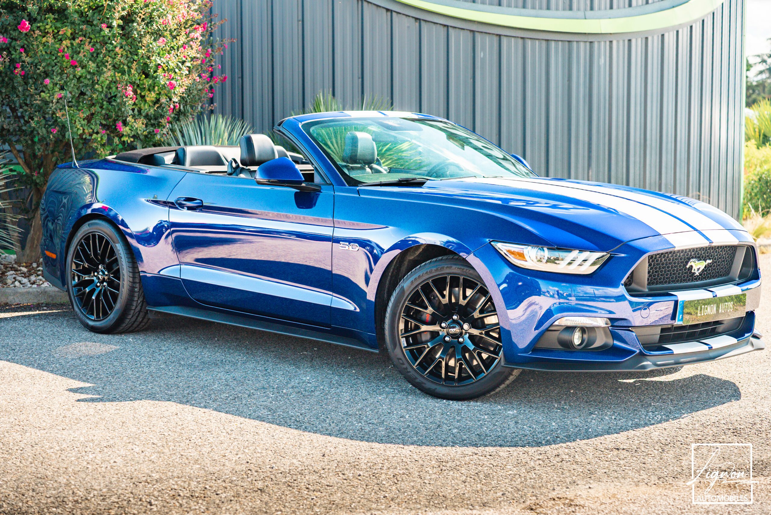 Photo Ford Mustang GT Cabriolet 5.0L V8 421 CH BVA6 - Pack Premium