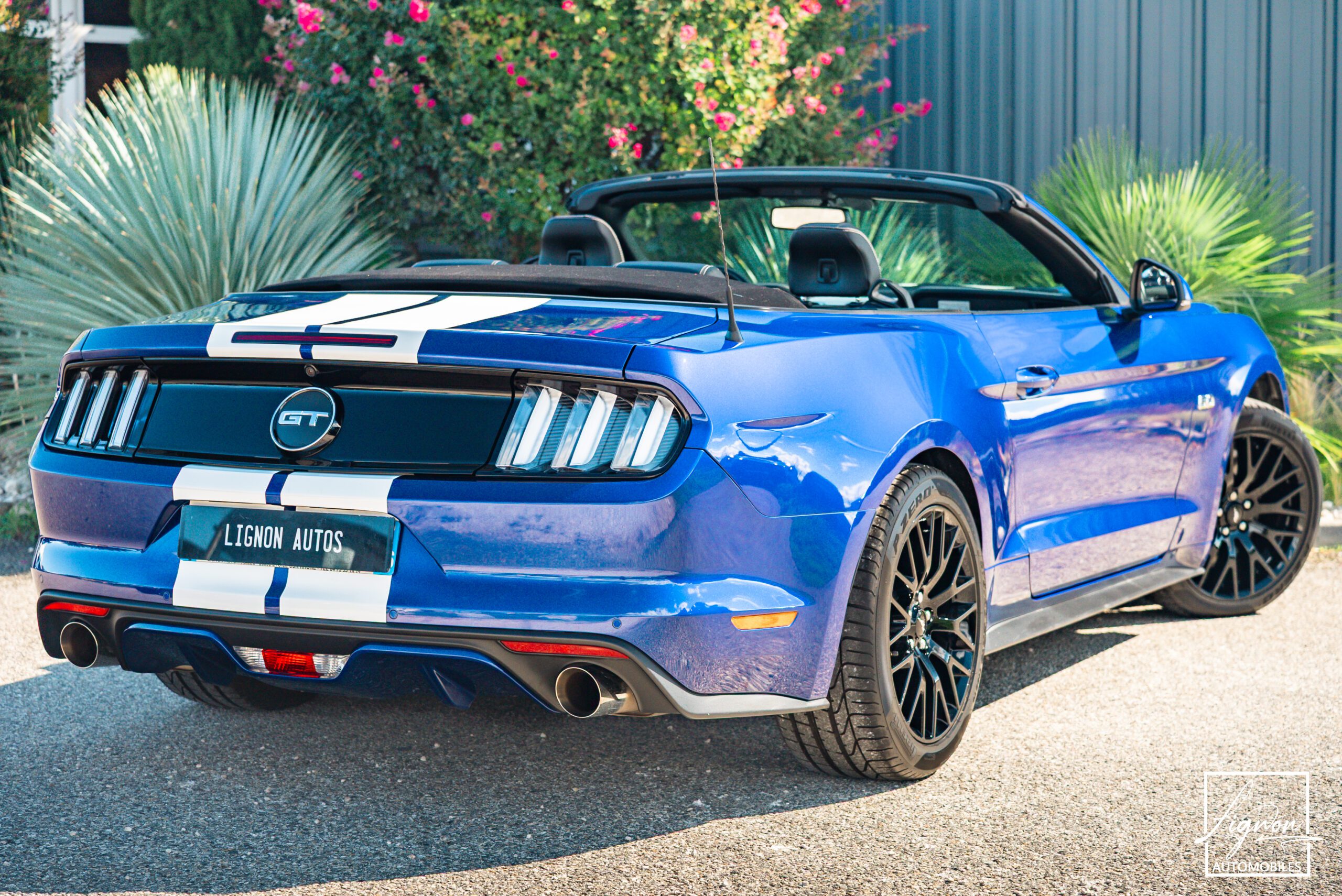 Photo Ford Mustang GT Cabriolet 5.0L V8 421 CH BVA6 - Pack Premium