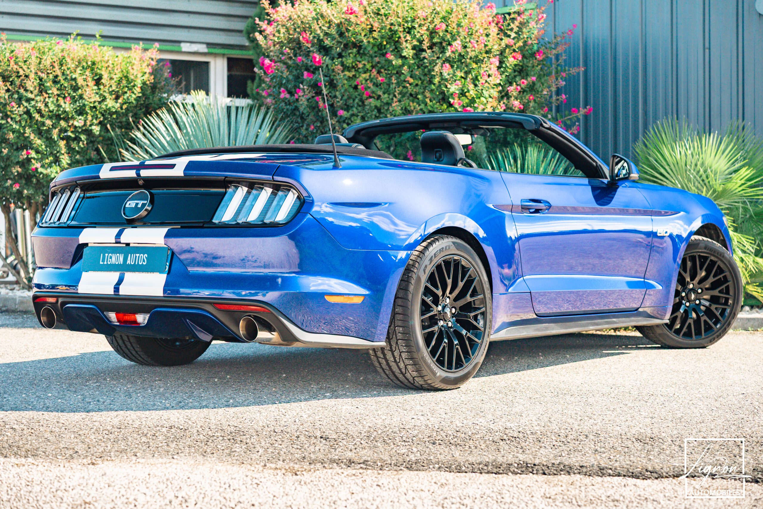 Photo Ford Mustang GT Cabriolet 5.0L V8 421 CH BVA6 - Pack Premium