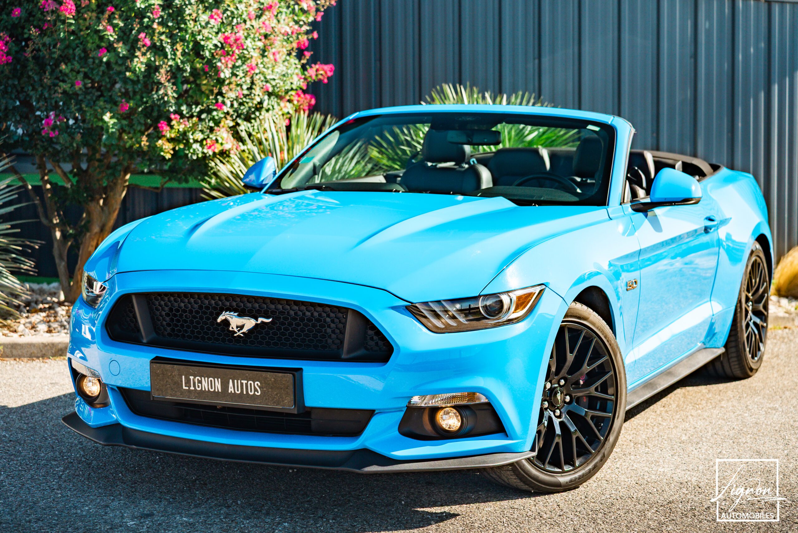 1654 Ford Mustang GT Cabriolet 5.0L V8 421 CH BVA6 Bleu Grabber