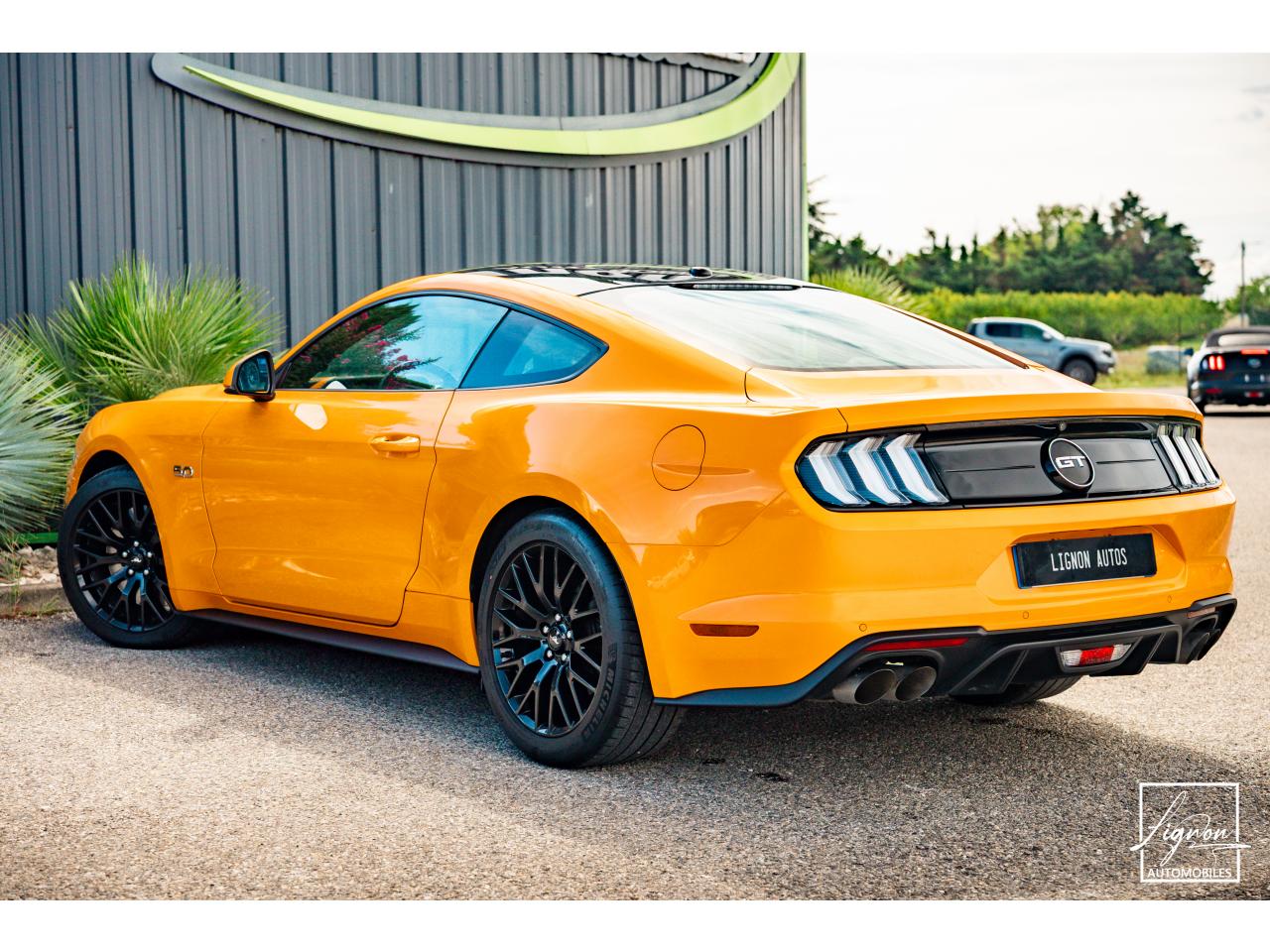 Photo FORD MUSTANG GT Fastback 5.0L V8 450 CH BVM6 Orange Fury Récaro - à partir de 734 euros