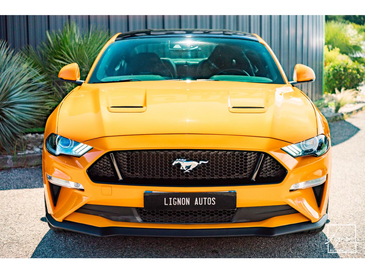 Photo FORD MUSTANG GT Fastback 5.0L V8 450 CH BVM6 Orange Fury Récaro - à partir de 734 euros