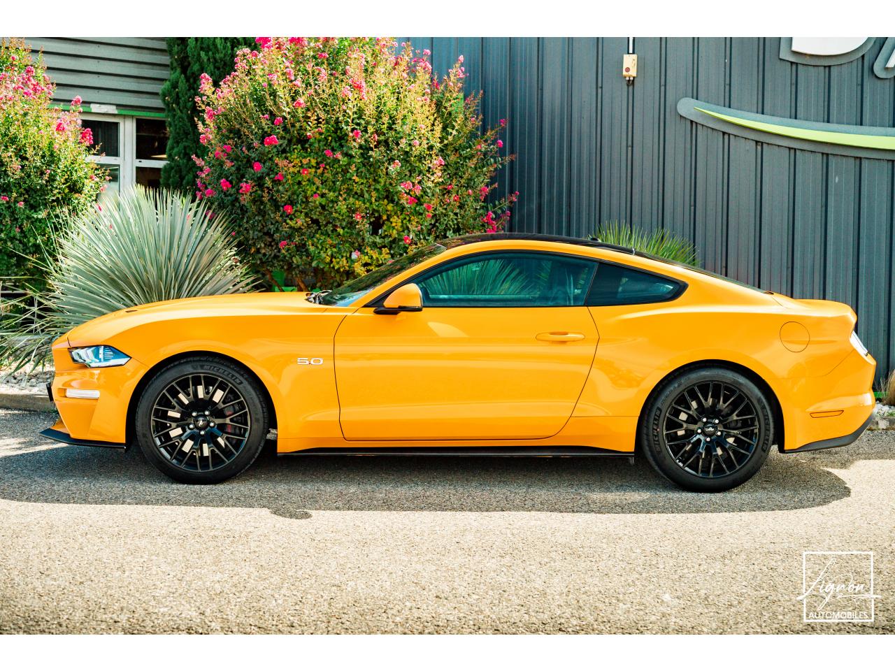 Photo FORD MUSTANG GT Fastback 5.0L V8 450 CH BVM6 Orange Fury Récaro - à partir de 734 euros