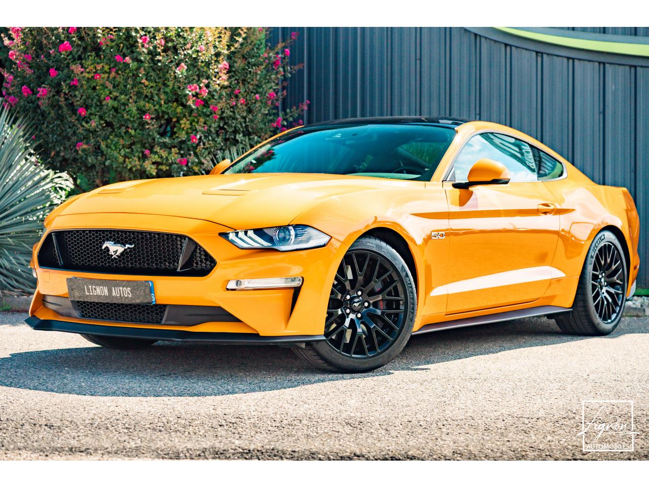 Photo FORD MUSTANG GT Fastback 5.0L V8 450 CH BVM6 Orange Fury Récaro - à partir de 734 euros