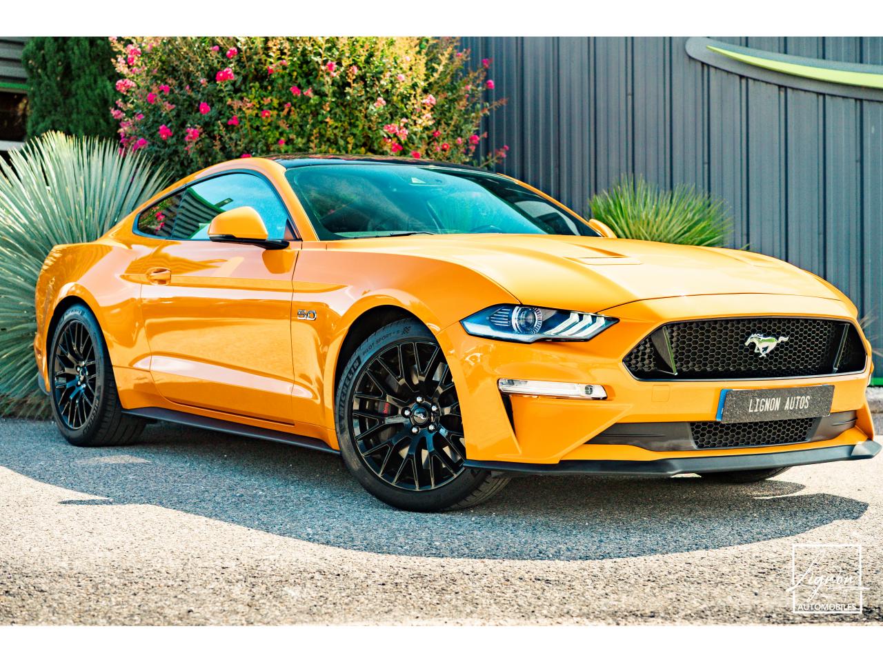 Photo FORD MUSTANG GT Fastback 5.0L V8 450 CH BVM6 Orange Fury Récaro - à partir de 734 euros