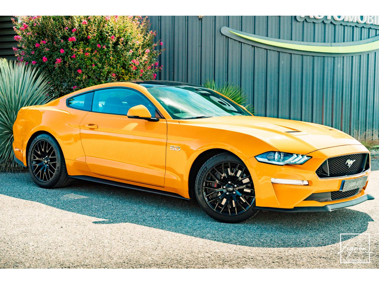 Photo FORD MUSTANG GT Fastback 5.0L V8 450 CH BVM6 Orange Fury Récaro - à partir de 734 euros