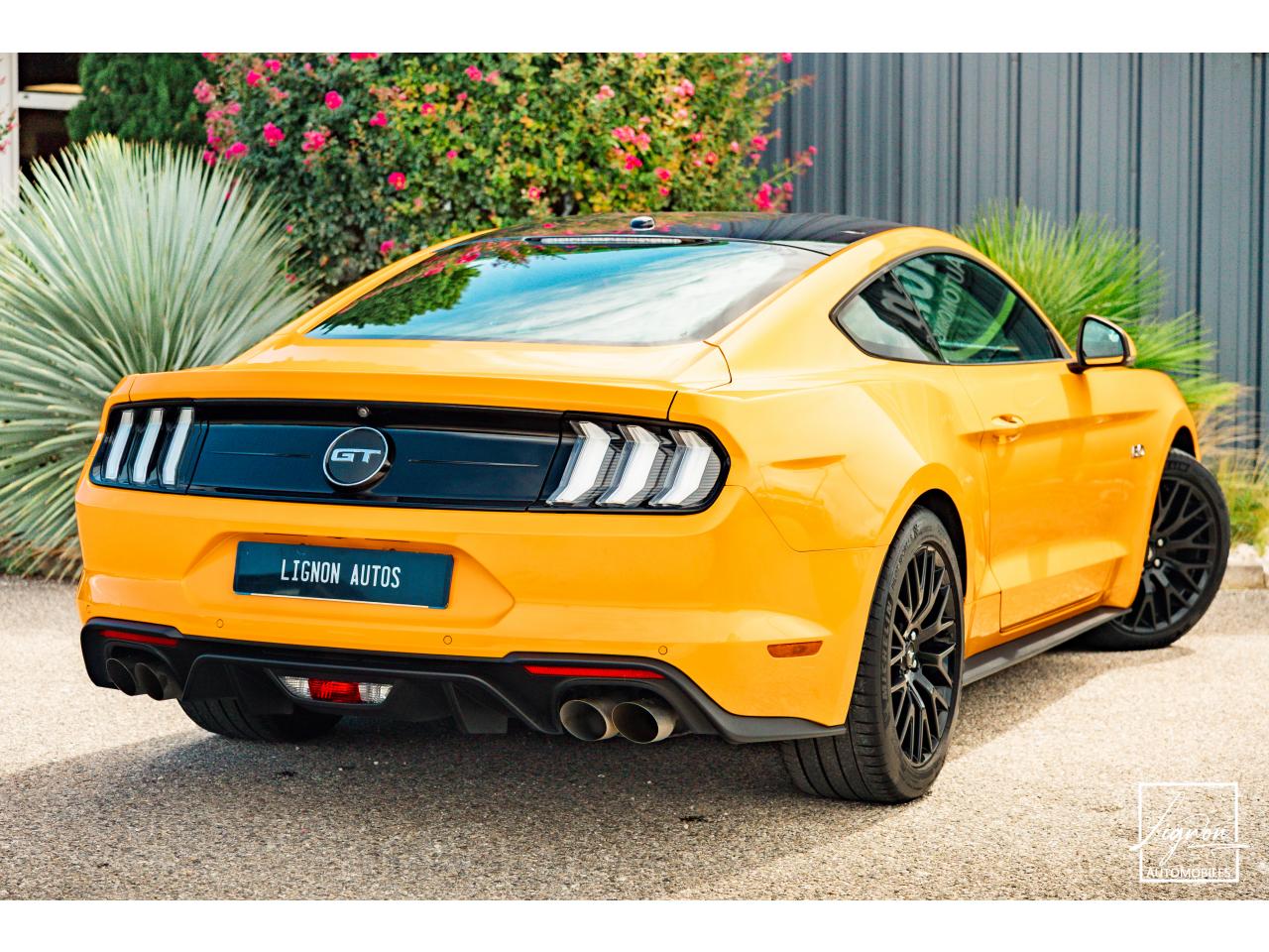 Photo FORD MUSTANG GT Fastback 5.0L V8 450 CH BVM6 Orange Fury Récaro - à partir de 734 euros